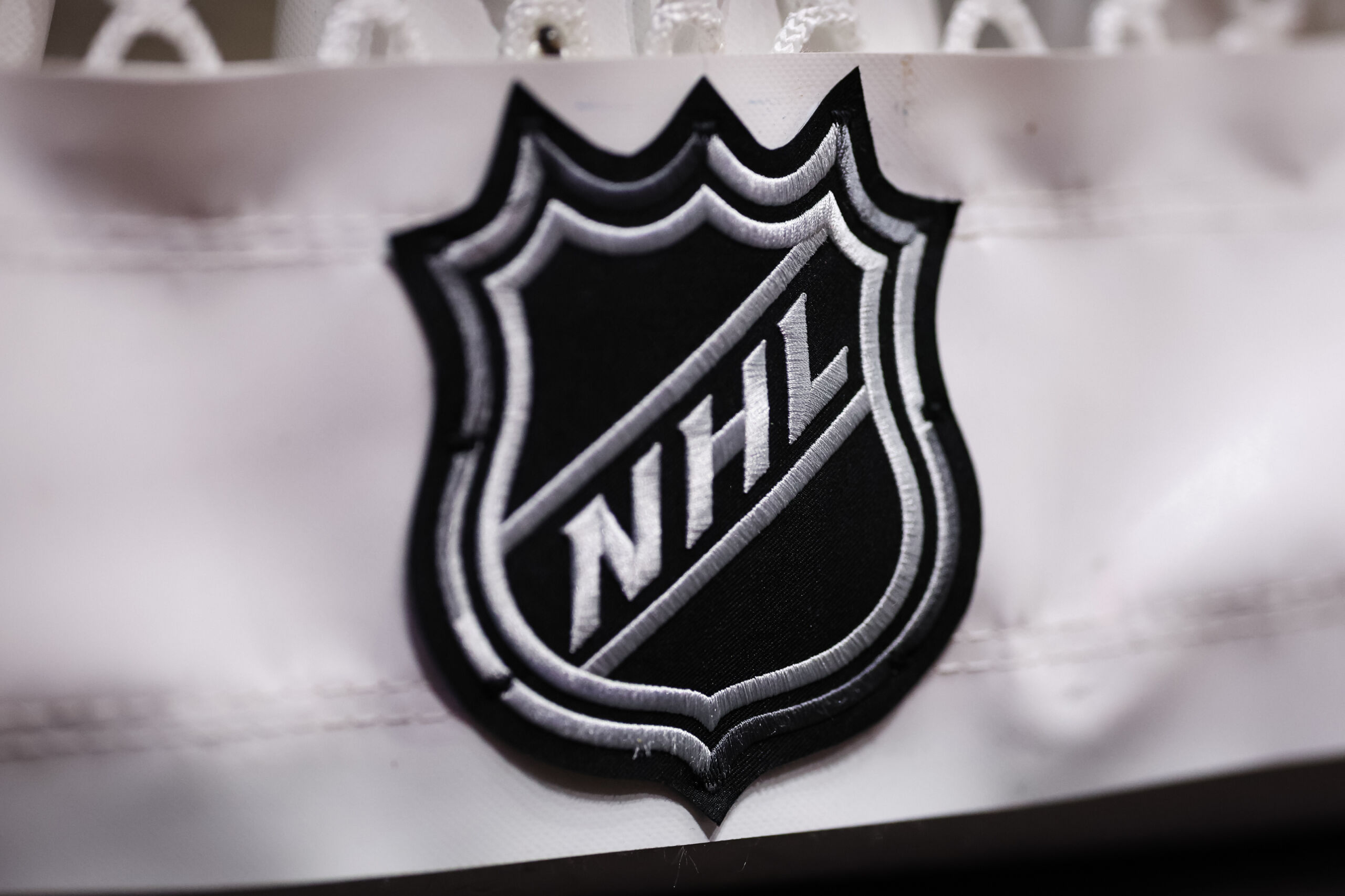 A general view of the NHL logo prior to the first round of the 2017 News  Photo - Getty Images