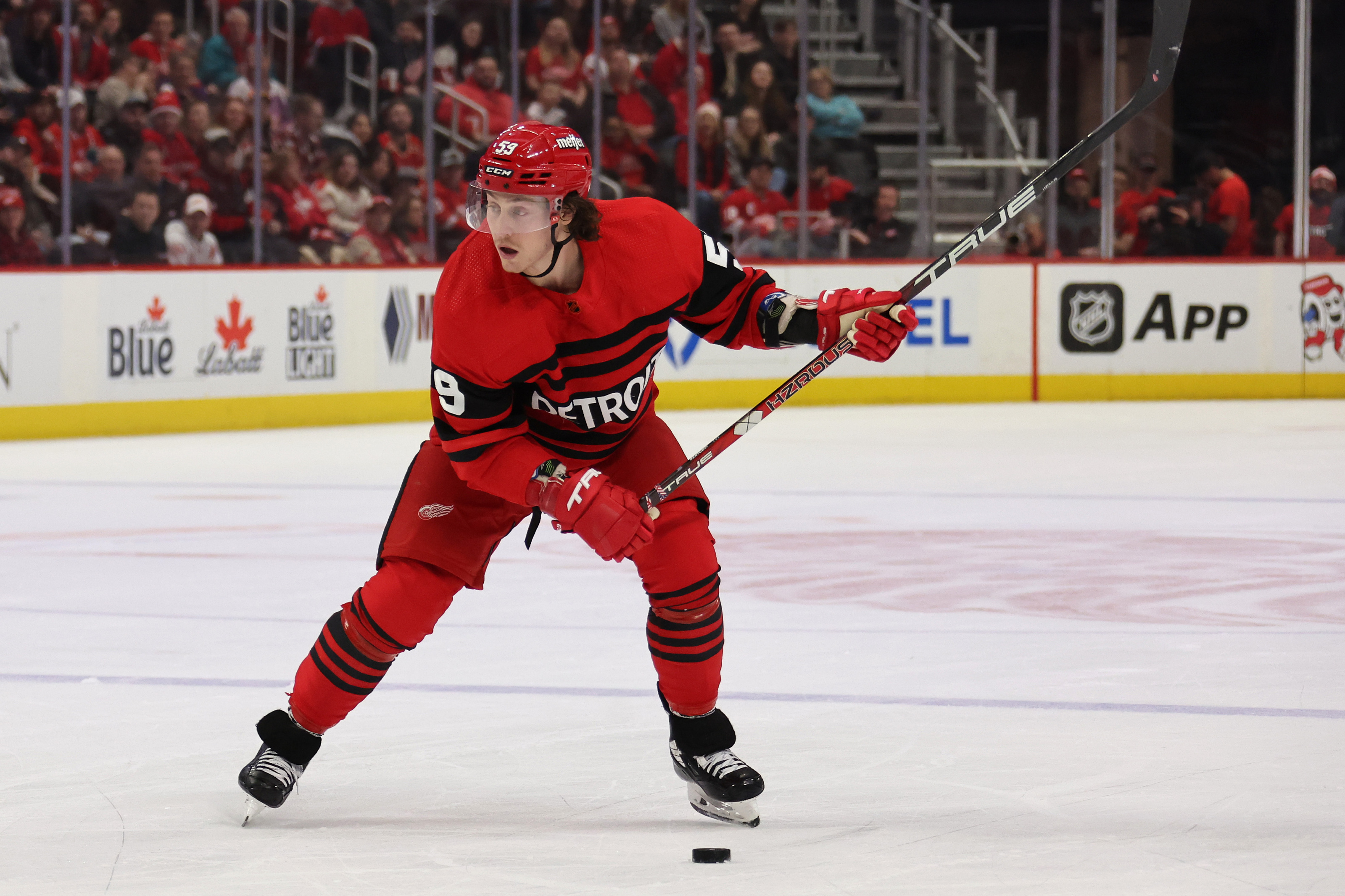Tyler Bertuzzi gives Detroit Red Wings options for scoring lines