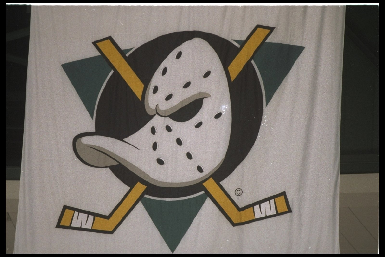 Like Kraken, Anaheim Ducks once were an NHL expansion franchise with a movie-themed  name