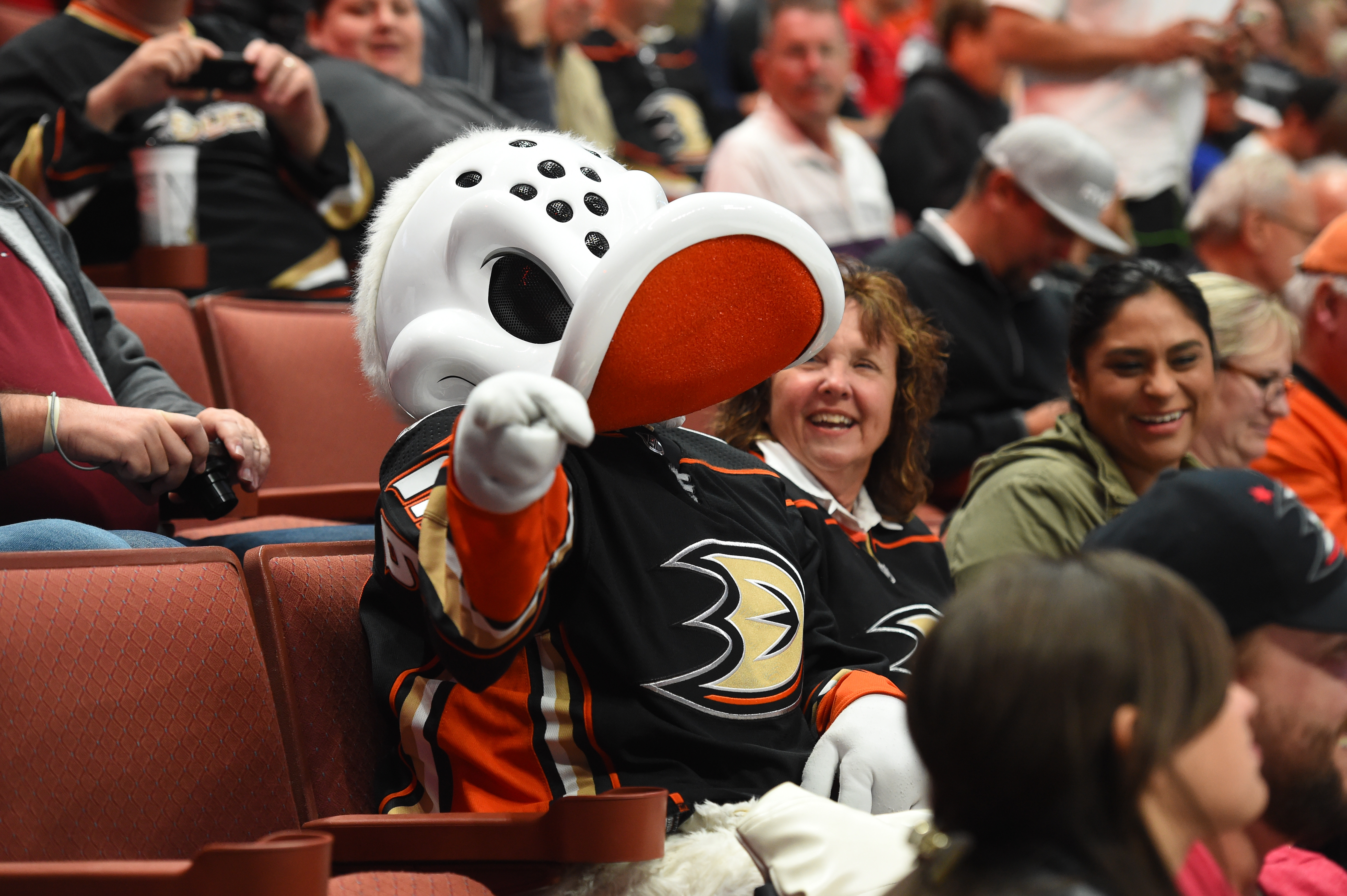 Wild Wing, the Anaheim Ducks Mascot: Everything You Need to Know