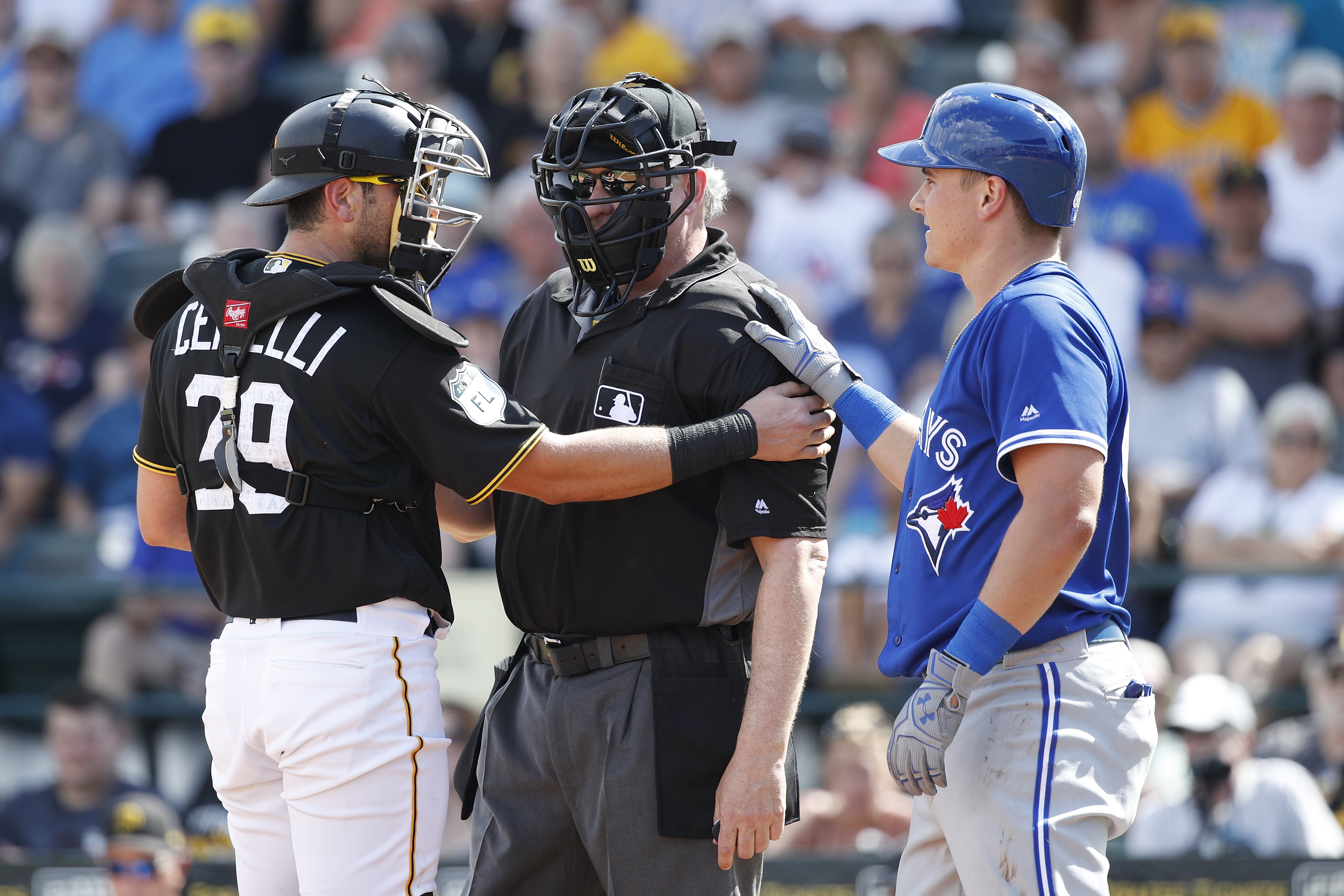 Toronto Blue Jays: McGuire, Jansen in the catching plans for 2018?