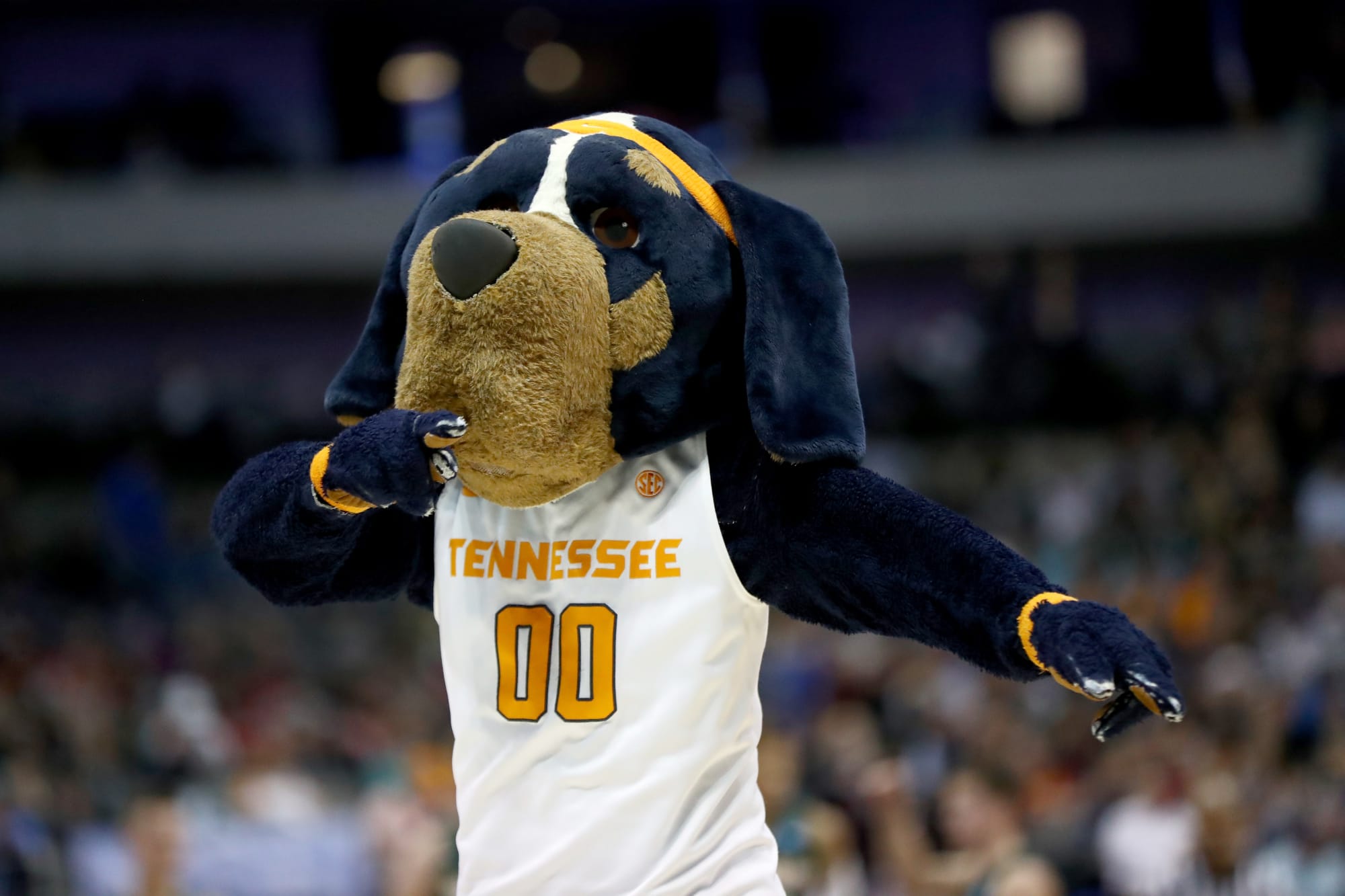 Lady Vols basketball roster 2019-2020 in photos