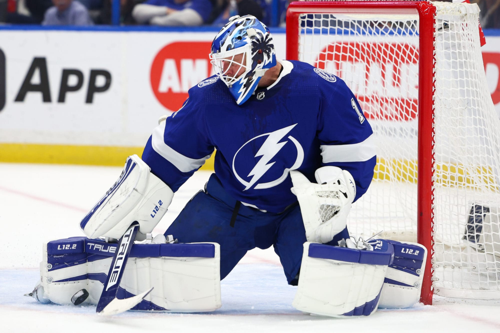 Tampa, USA. 12th Jan, 2017. Tampa Bay Lightning goalie Ben Bishop (30) in  net during second period action at the Amalie Arena in Tampa. Bishop had  been out several weeks due to