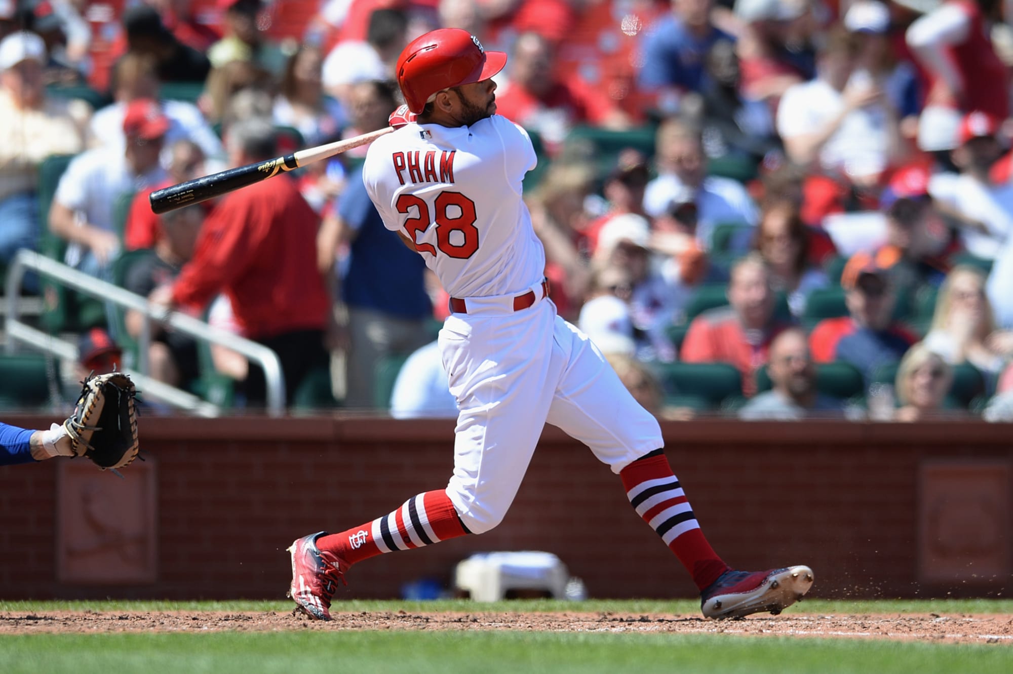 St. Louis Cardinals: Tommy Pham does as he pleases, MLB's better for it