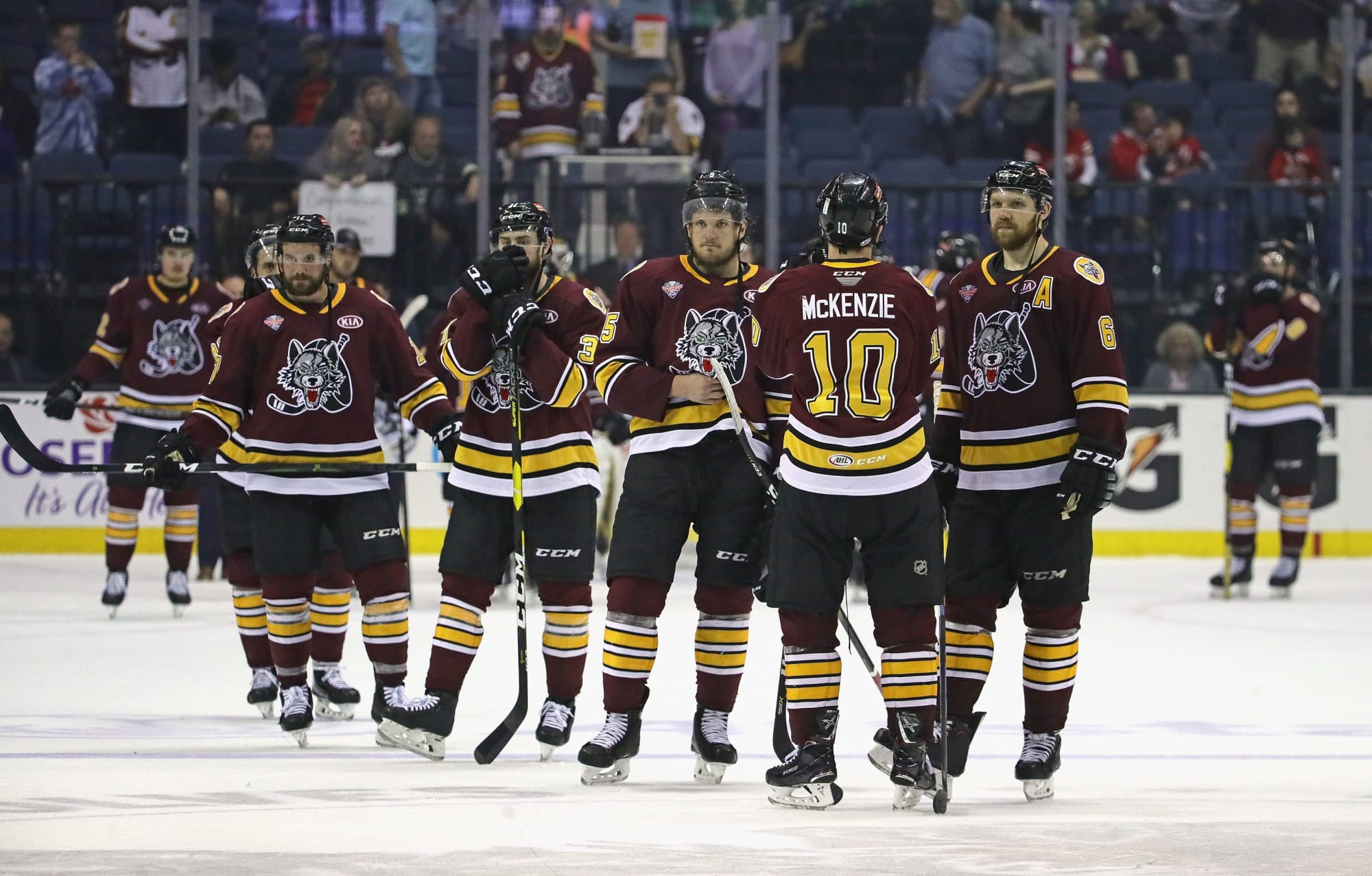 Chicago Wolves - YOUR CHICAGO WOLVES ARE CALDER CUP CHAMPIONS.