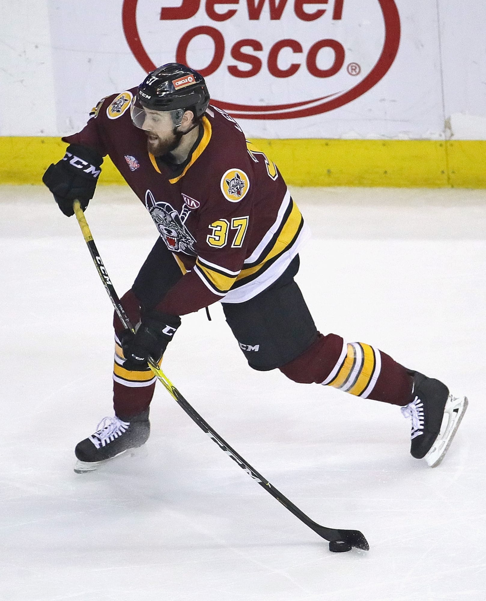 How the Chicago Wolves Will (or Won't) Win the Calder Cup - Canes Country