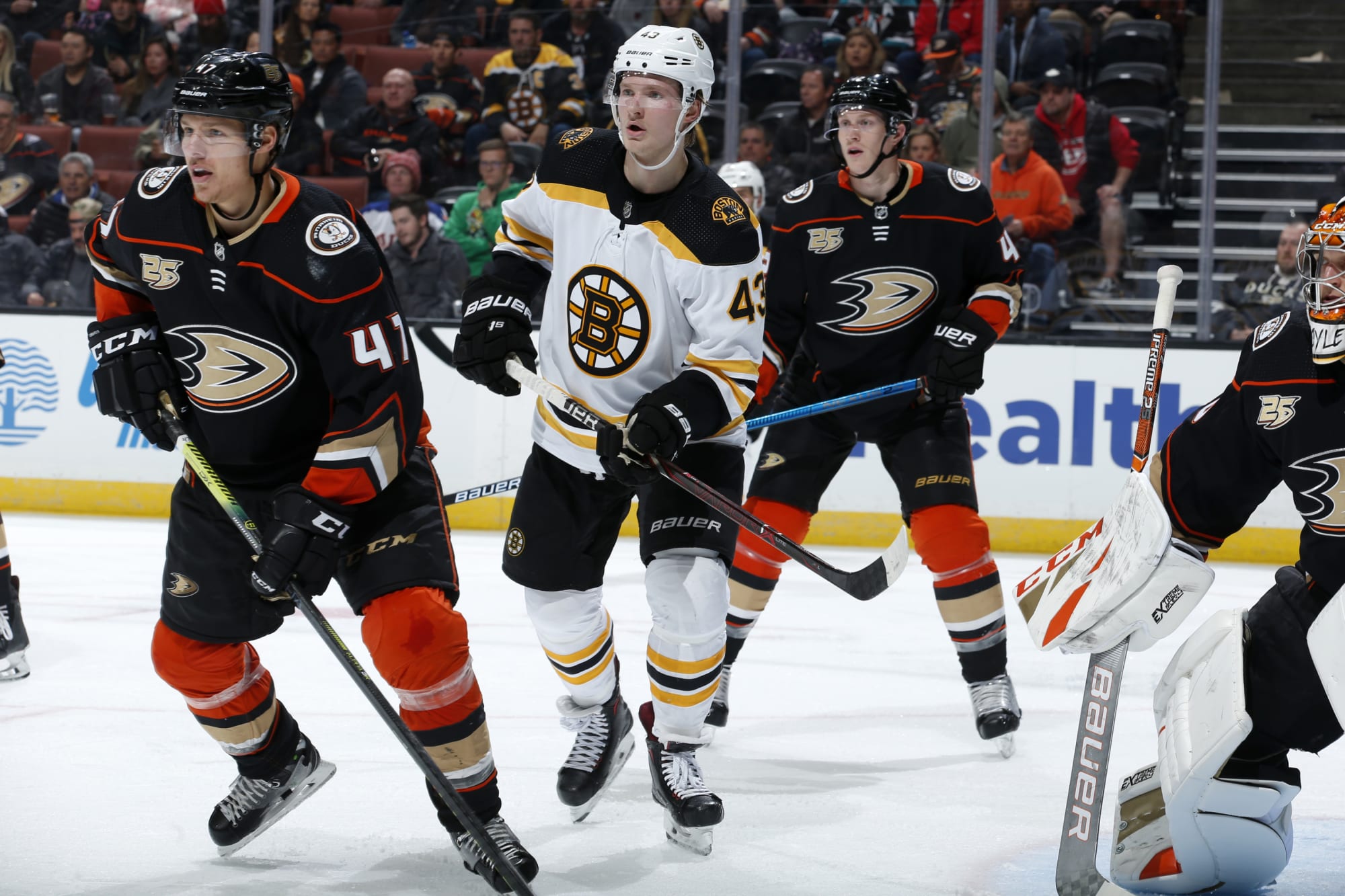 Anaheim Ducks vs. Boston Bruins: Live Stream, TV Channel, Start