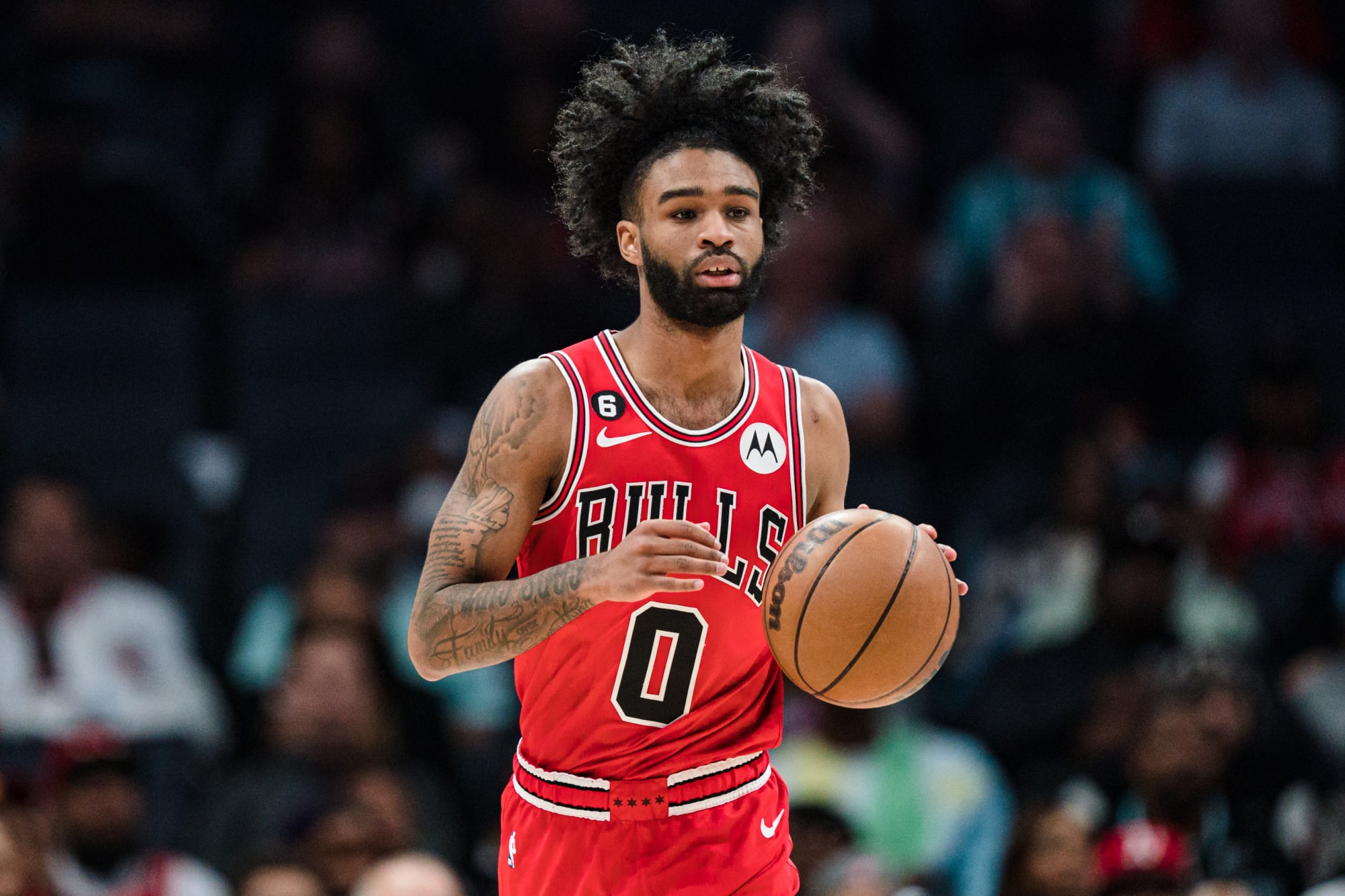 Coby White of the Chicago Bulls looks on during the game against the  News Photo - Getty Images