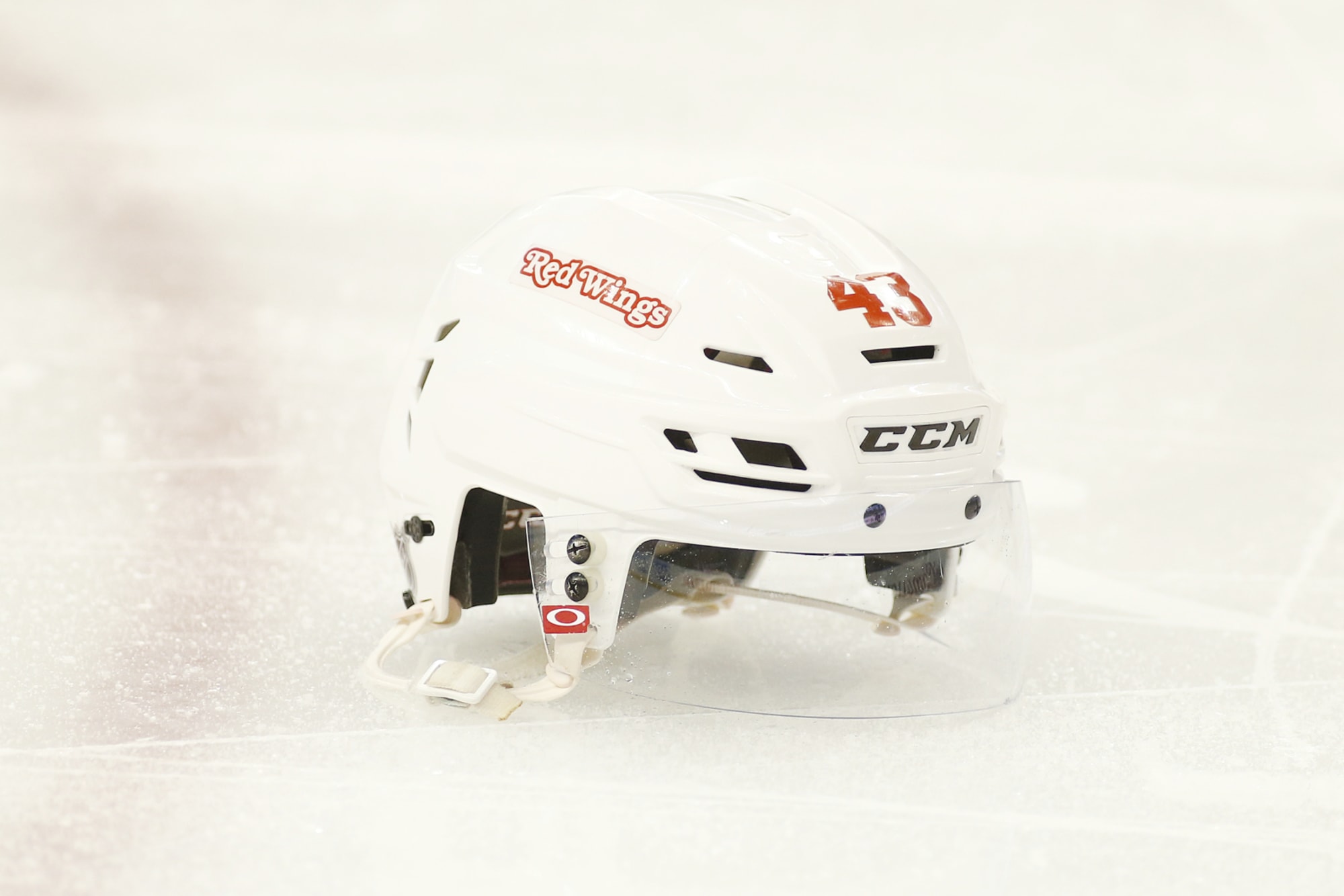 Red Wings announce new helmet sponsor: Meijer