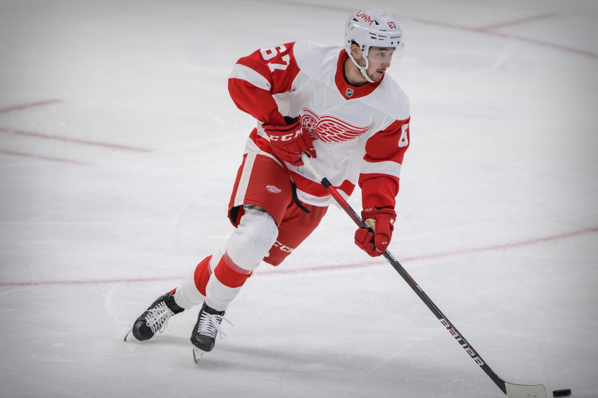 Taro Hirose makes solid case for Red Wings' second line 