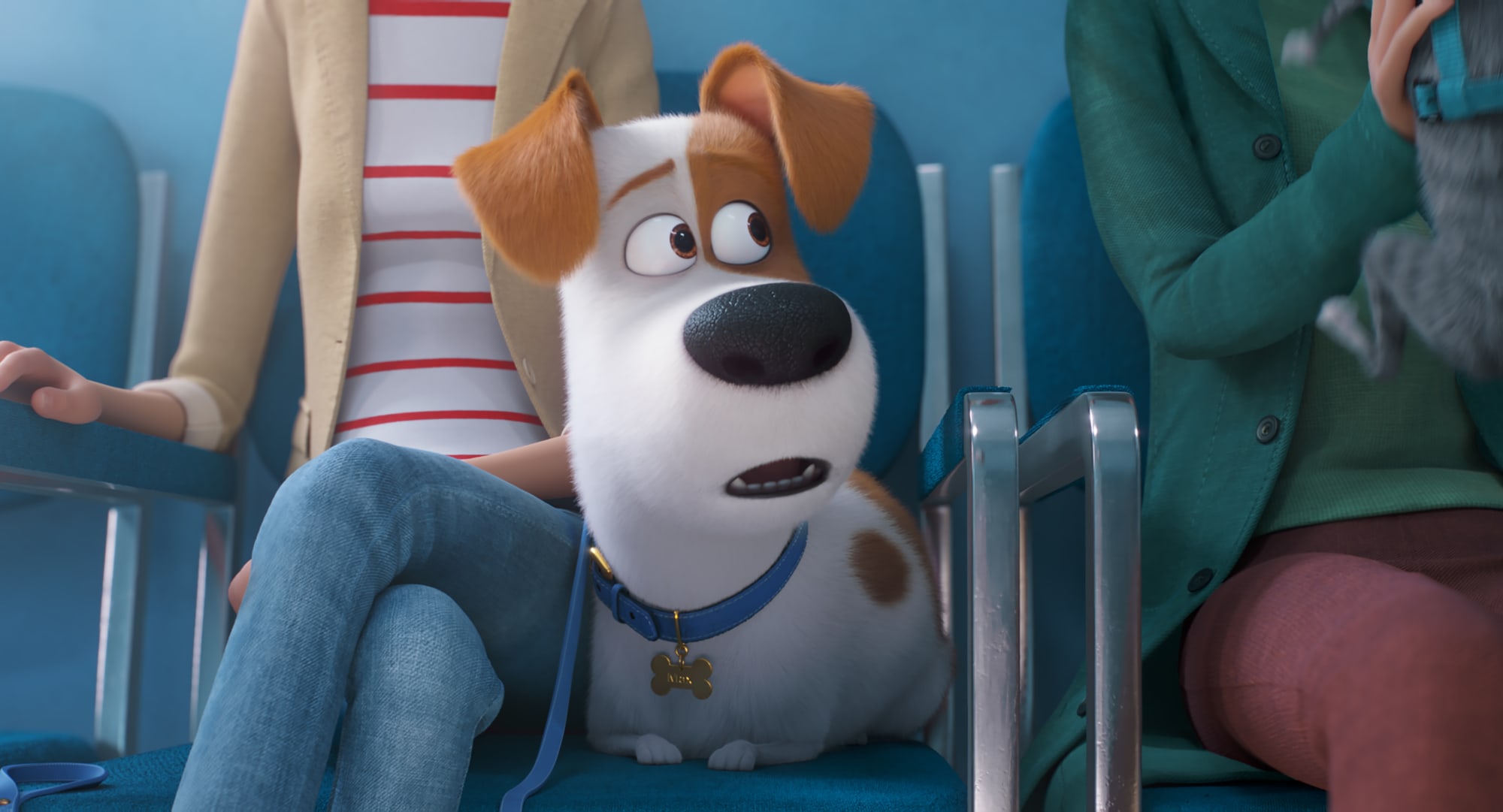 5 Netflix Movies To Watch If You Love Secret Life Of Pets 2