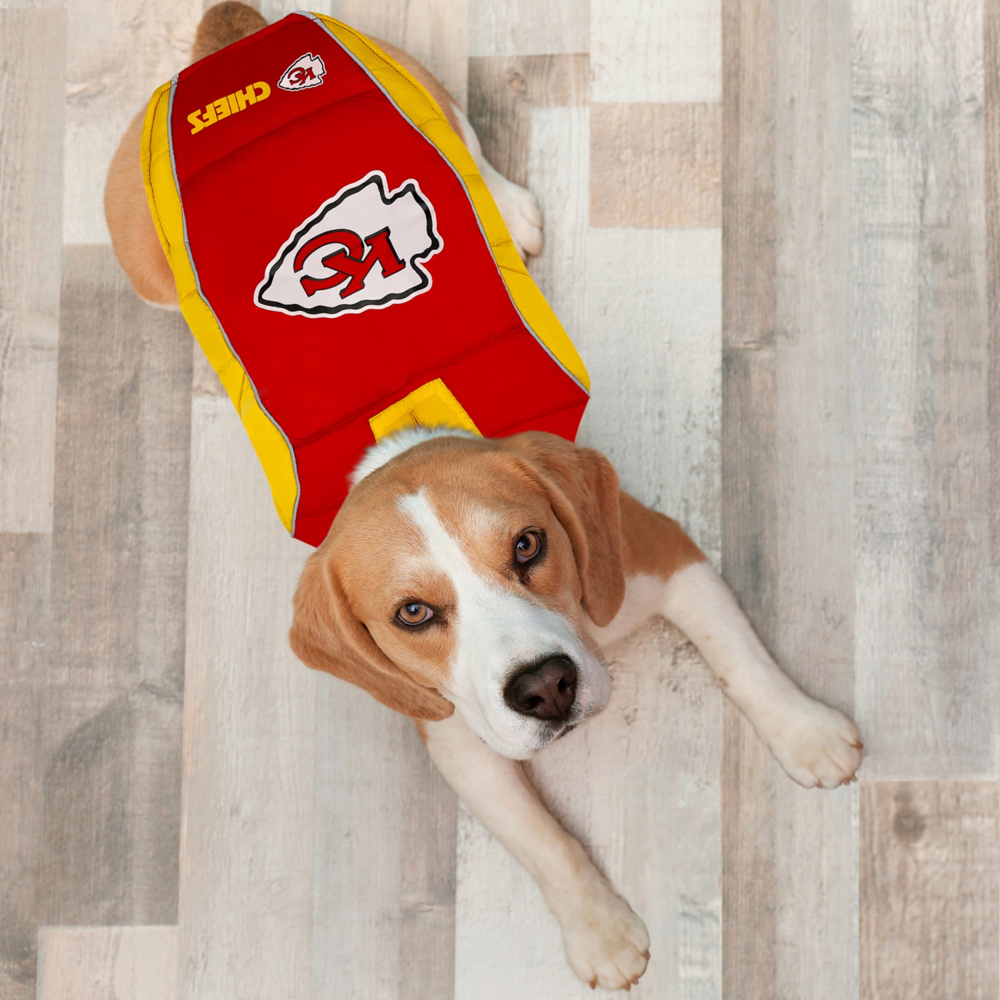 kc chiefs jersey for dogs