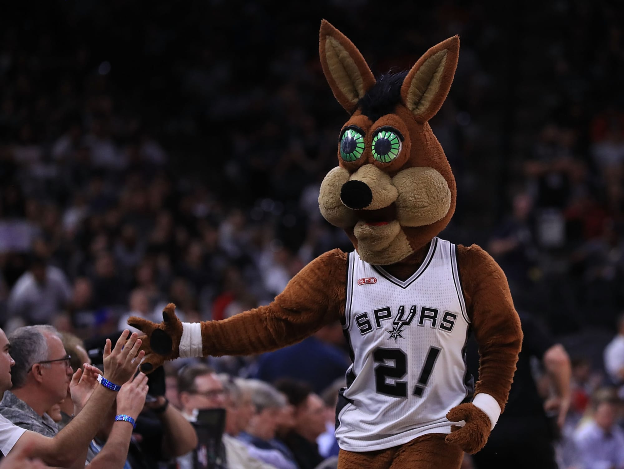 San Antonio Spurs NBA Dog Jersey
