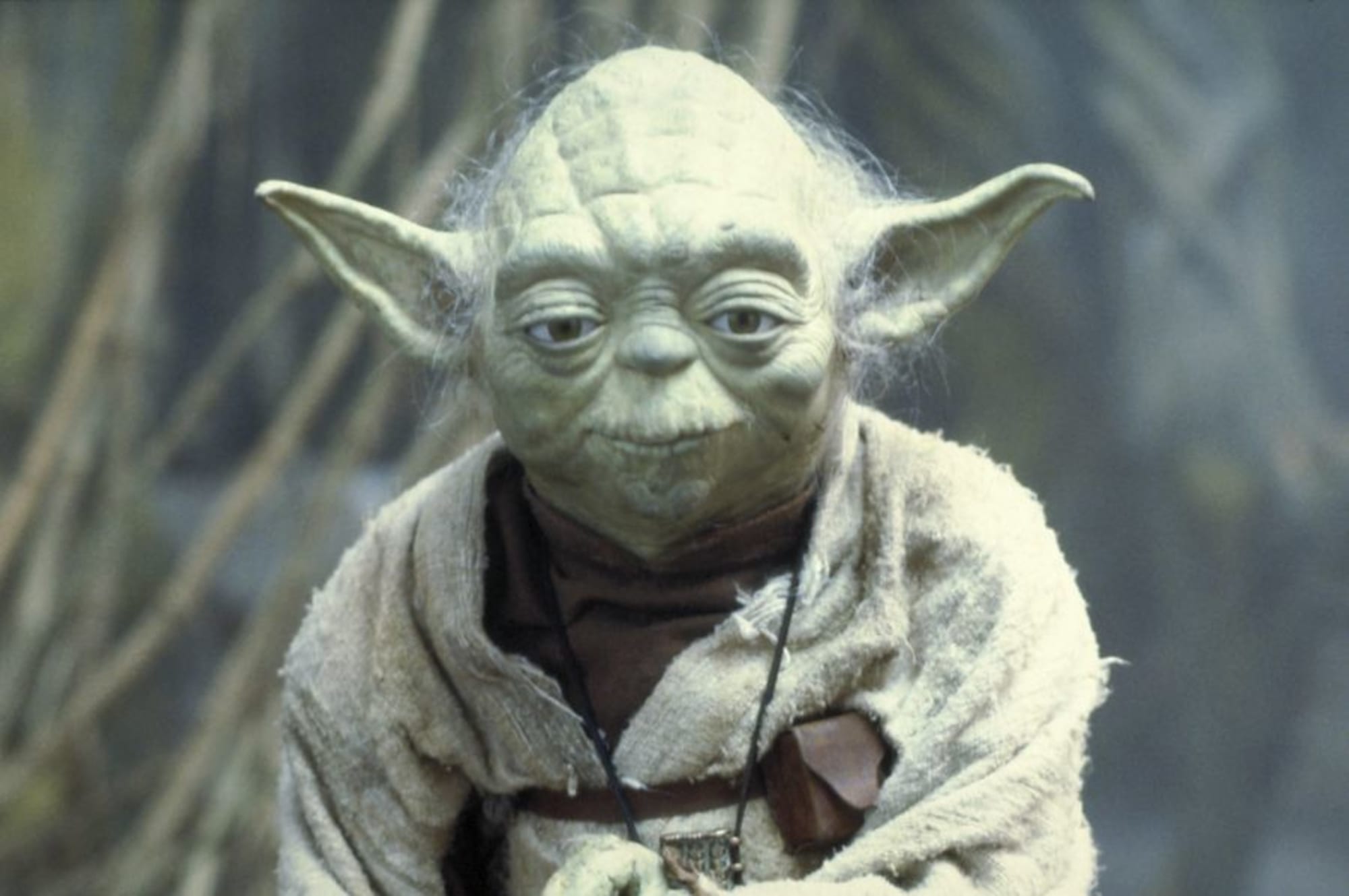 pik Purper hoek Star Wars: 4 reasons why Yoda failed as a Jedi, beacon for the light side -  Page 3