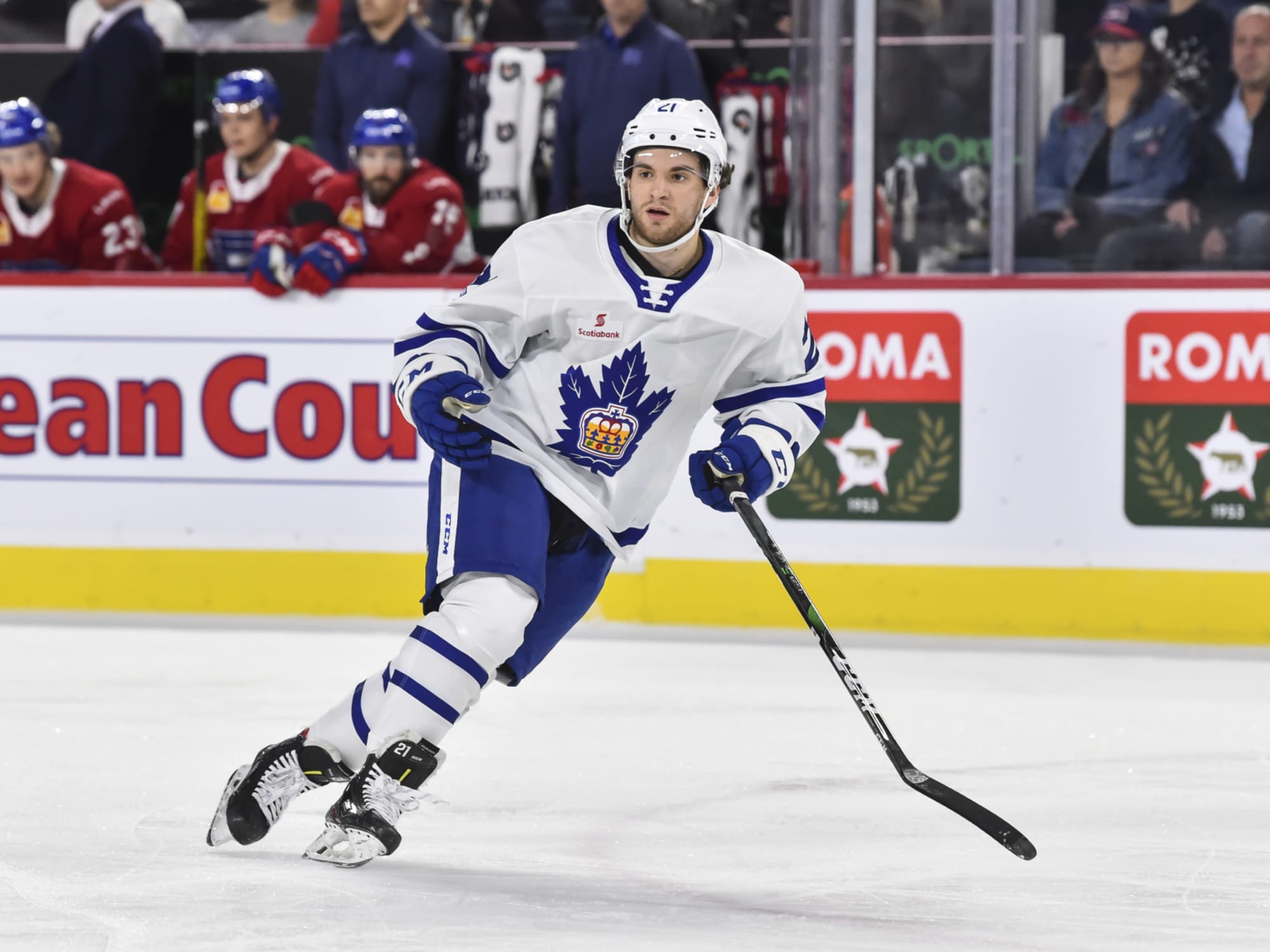 Toronto Maple Leafs Prospect Report: Toronto Marlies Season Recap