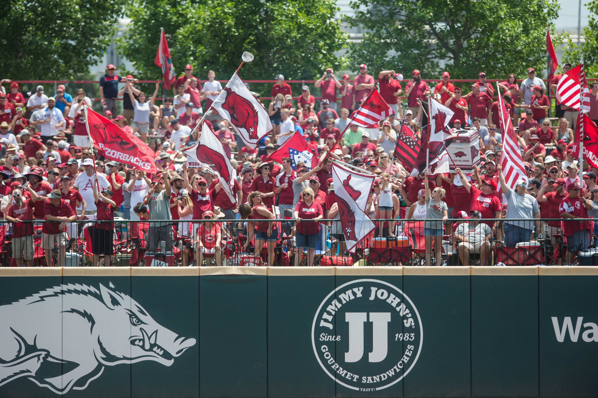 Look! An Arkansas baseball fan acts totally normal and has a raccoon on the stands thumbnail
