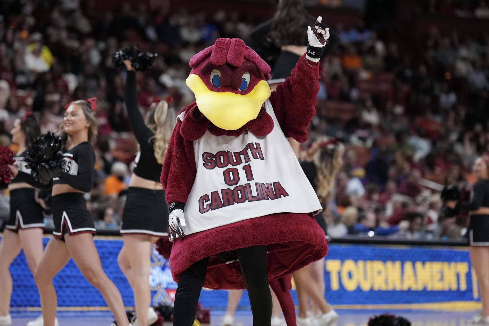 South Carolina Basketball Shows Strong Improvement with New Players and Enhanced Strategies