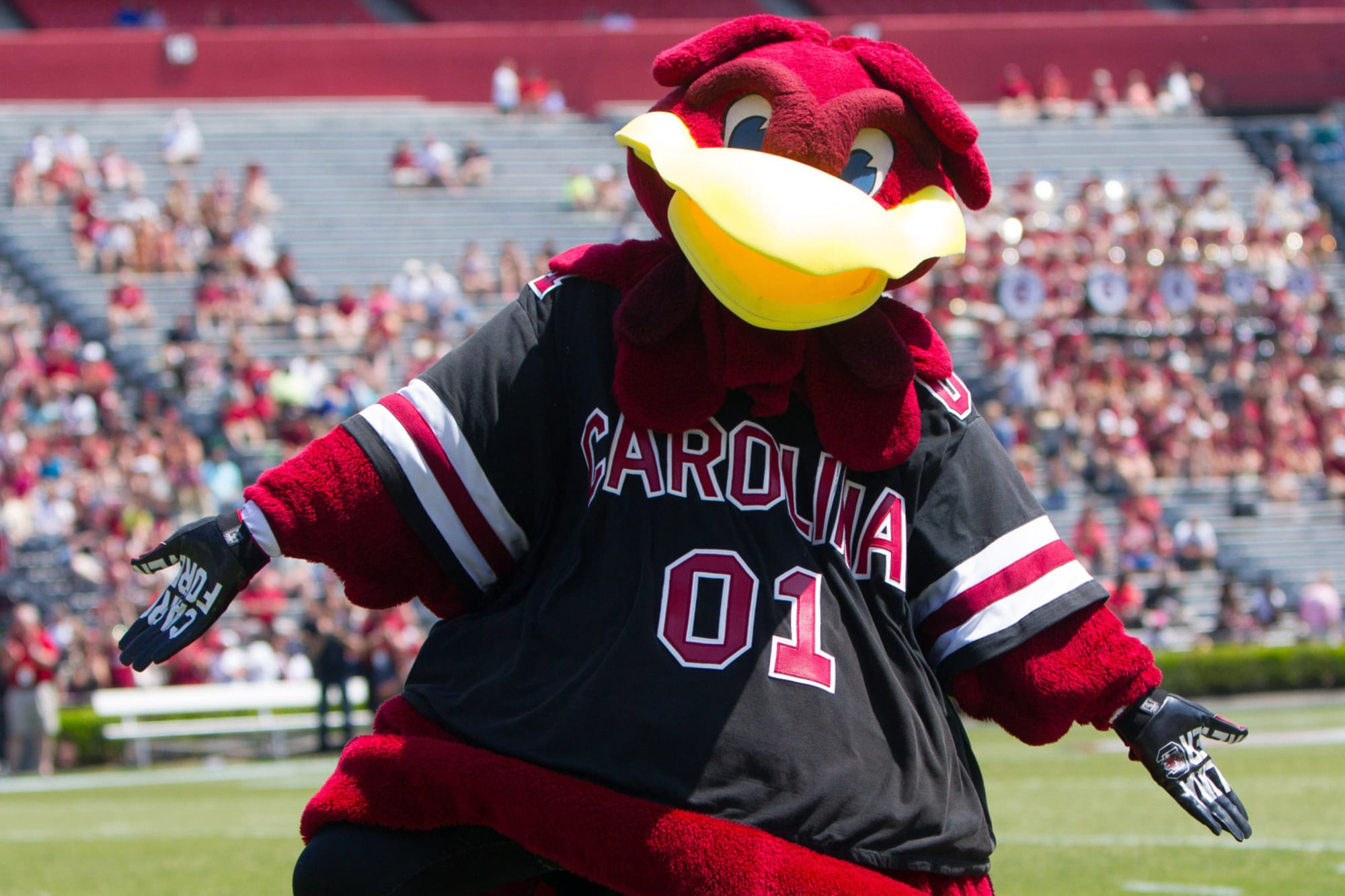 South Carolina actively recruiting talented quarterback prospects for the 2025 class