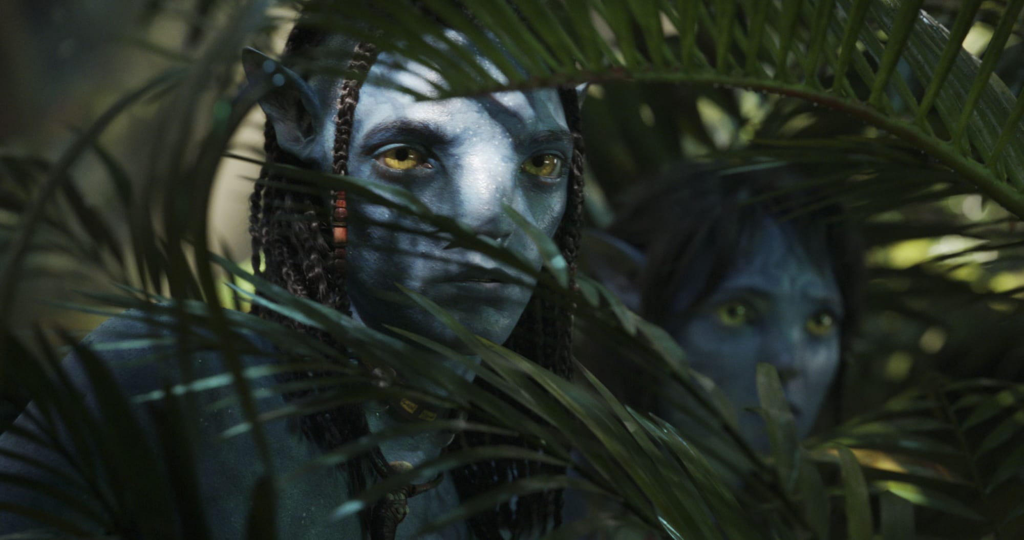 Where can you stream the first Avatar movie?