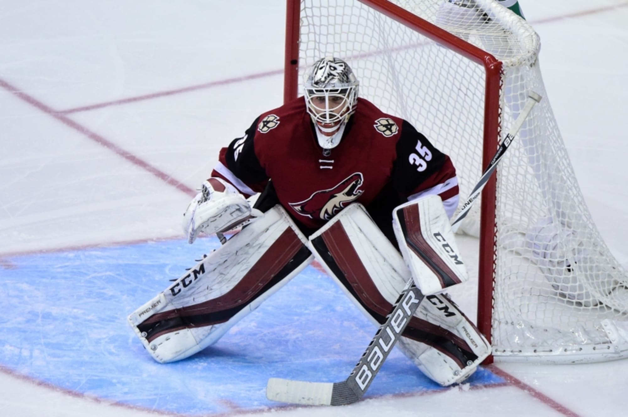 Louis Domingue Stats and Player Profile
