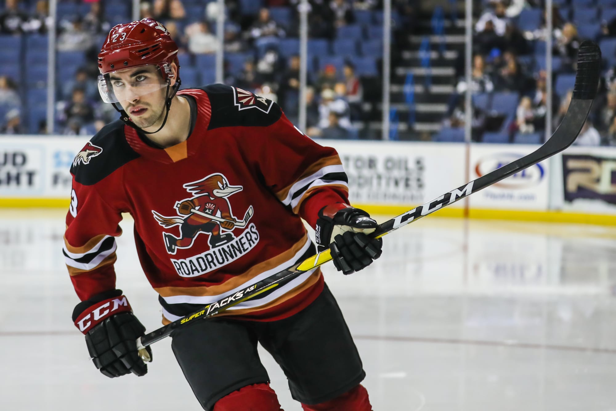 tucson roadrunners jersey for sale
