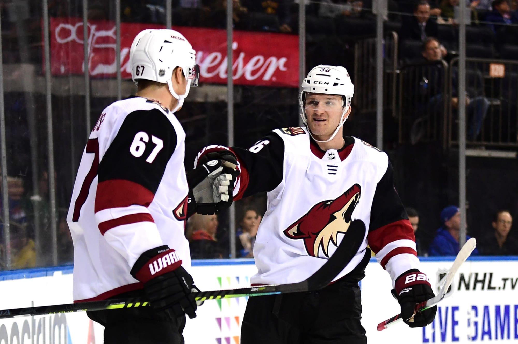2023–24 NHL team preview: Arizona Coyotes - Daily Faceoff