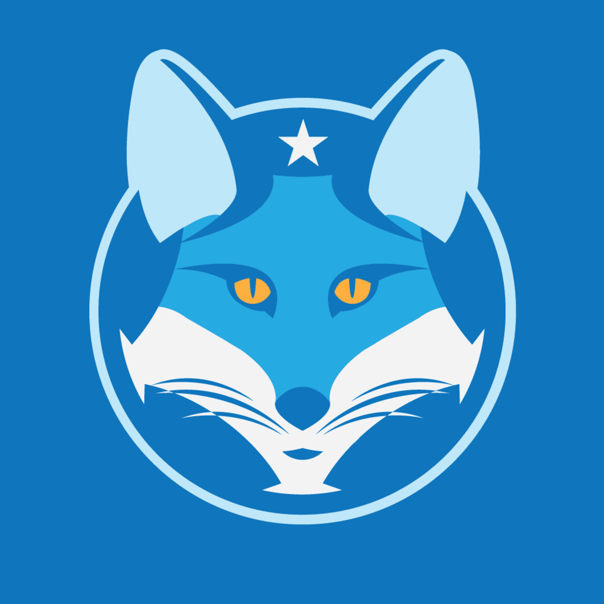 Foxes Of Leicester Leicester City Fc News Scores And Analysis