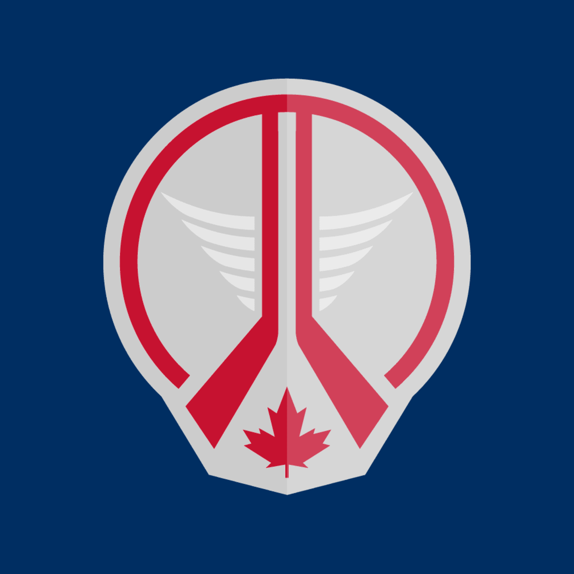 Winnipeg Jets - “I love it. They have great colours, the