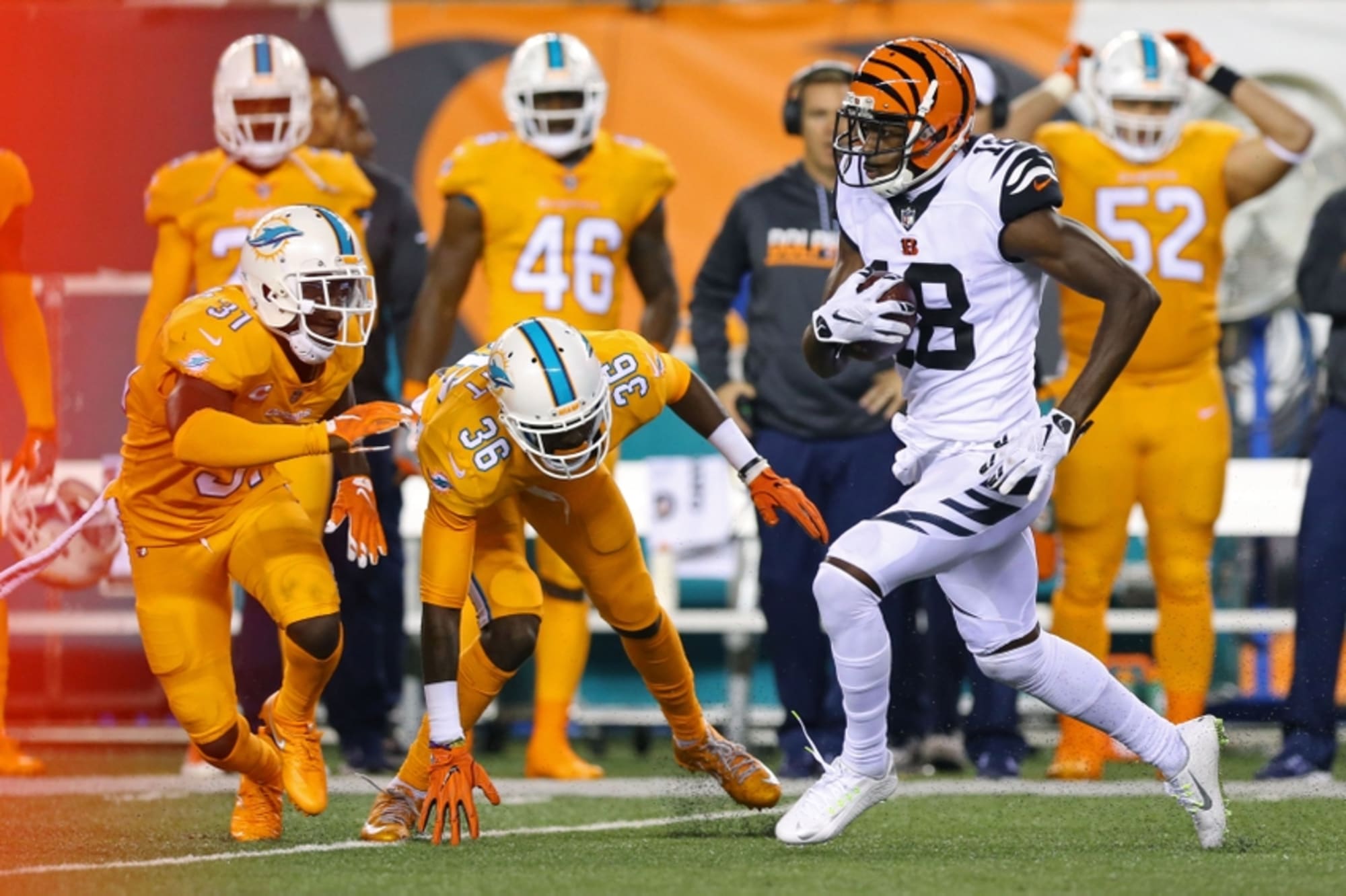 miami dolphins and bengals