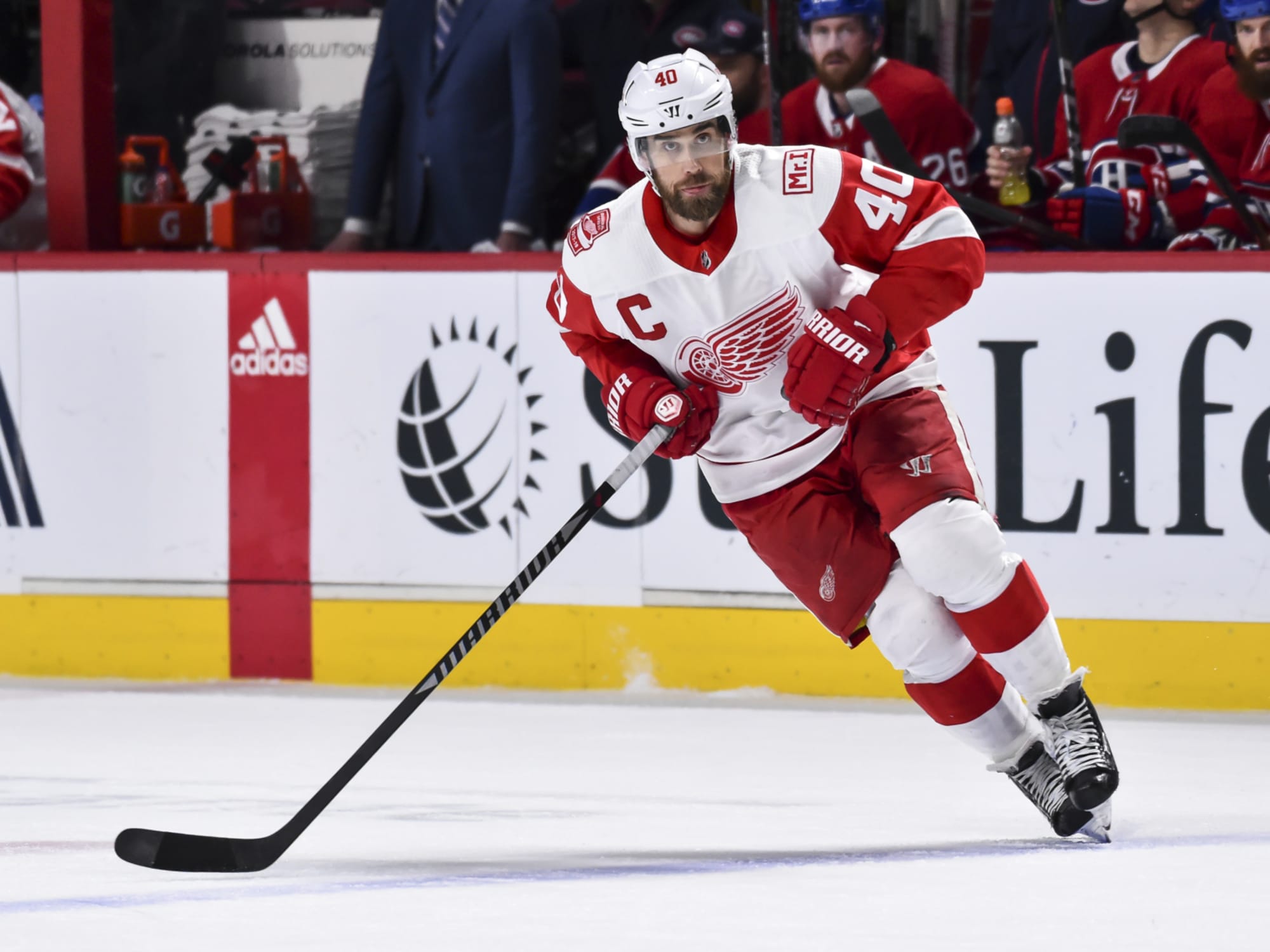 Detroit Red Wings Protect or Not to Protect: Henrik Zetterberg