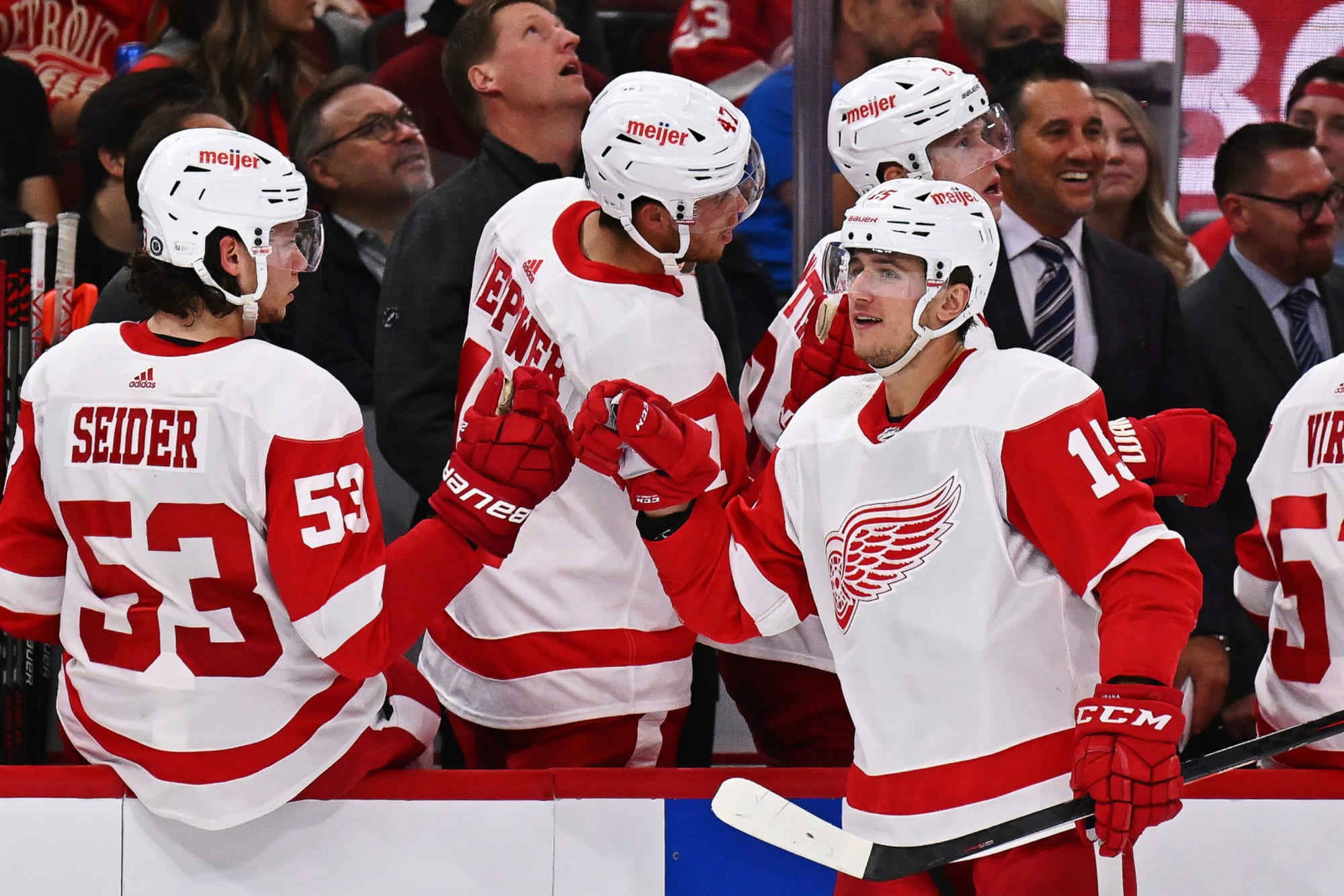 Detroit Red Wings Activate Robby Fabbri from Injured Reserve