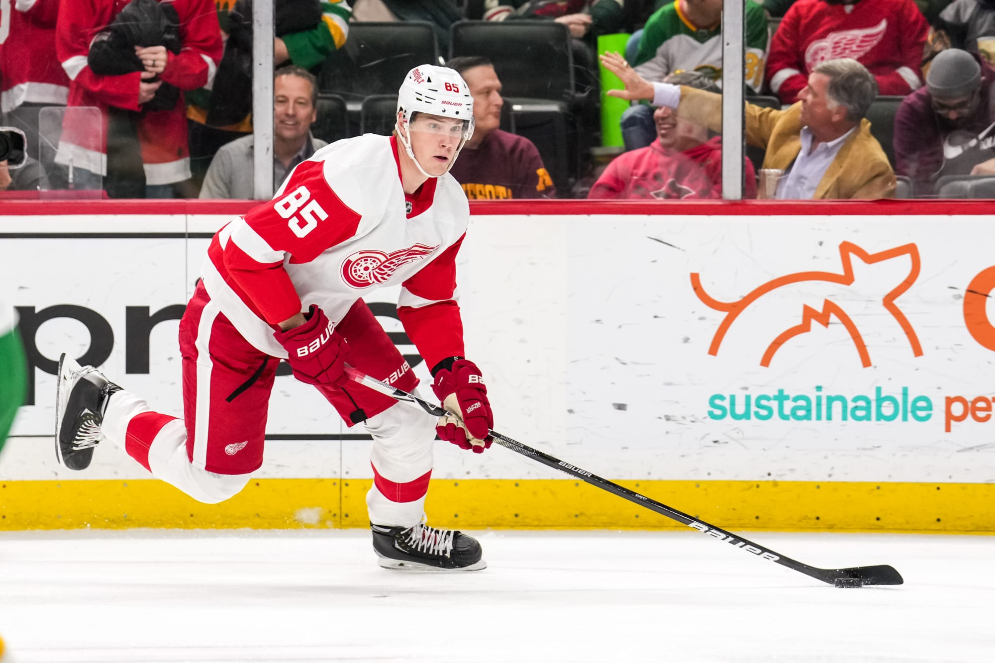 Detroit Red Wings: Why an AHL stint may be best for Elmer Soderblom