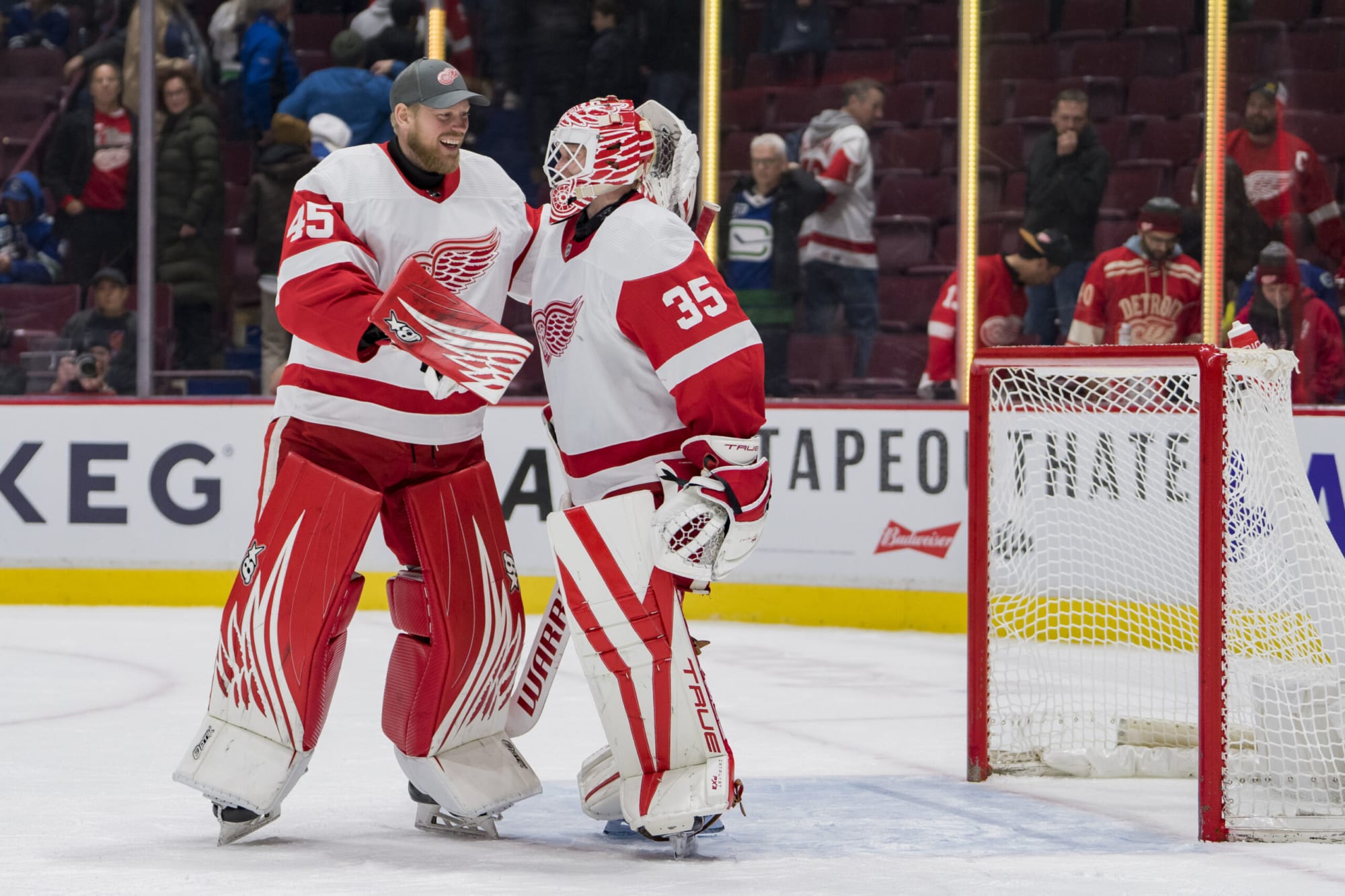 2023-24 NHL Prospect Pool Overview: Detroit Red Wings - The Hockey