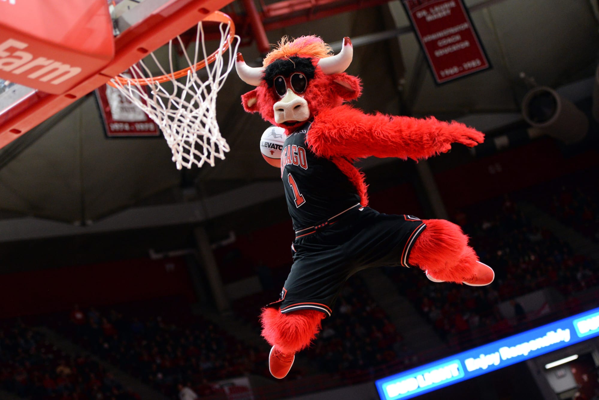 The Wrecking Yard: Chicago Bulls Mascot Benny