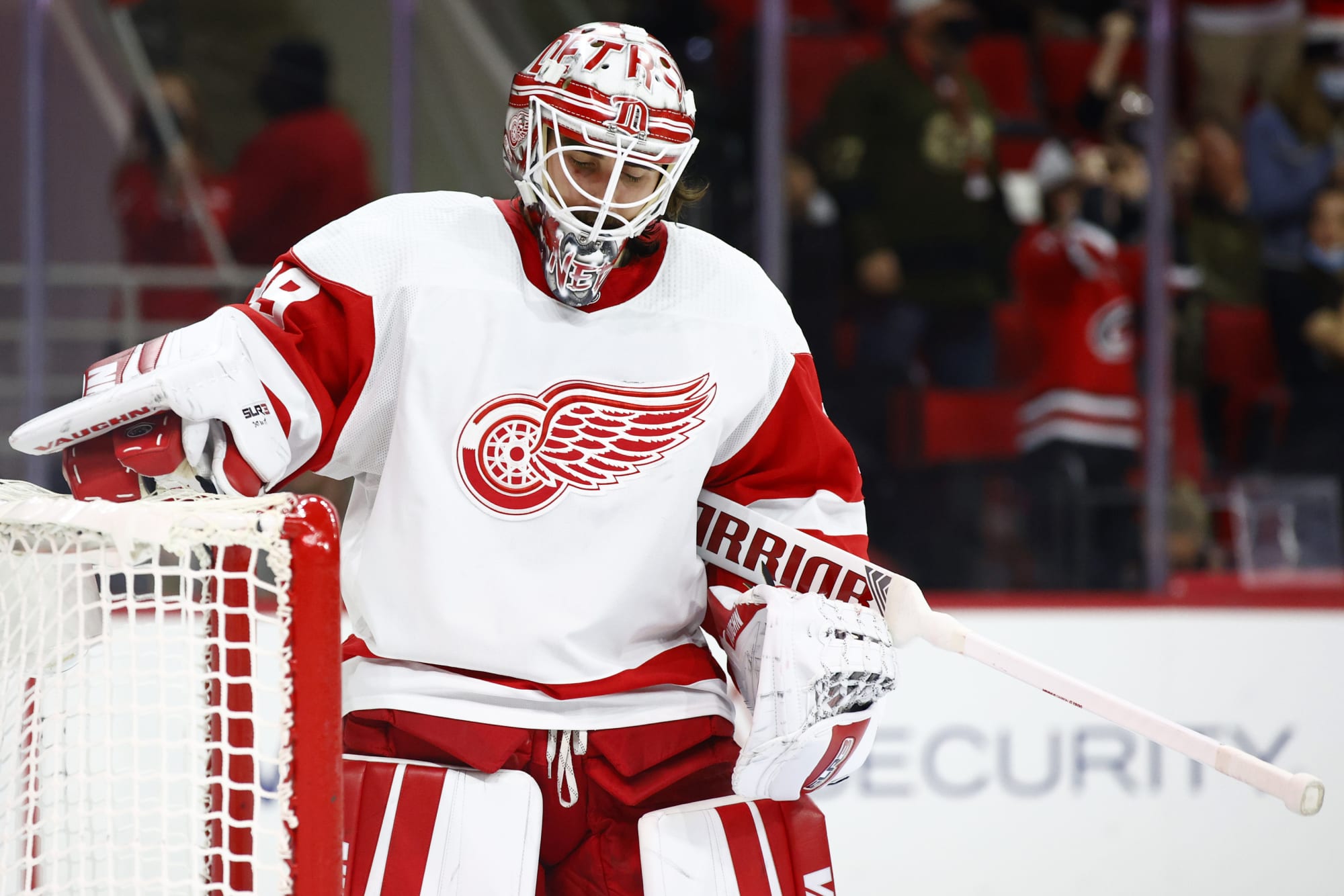 Detroit Red Wings Shouldn't Worry About Alex Nedeljkovic