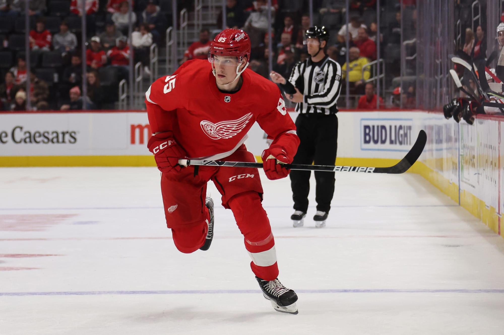 Detroit Red Wings Make Several Moves, Finalize Opening Night Roster