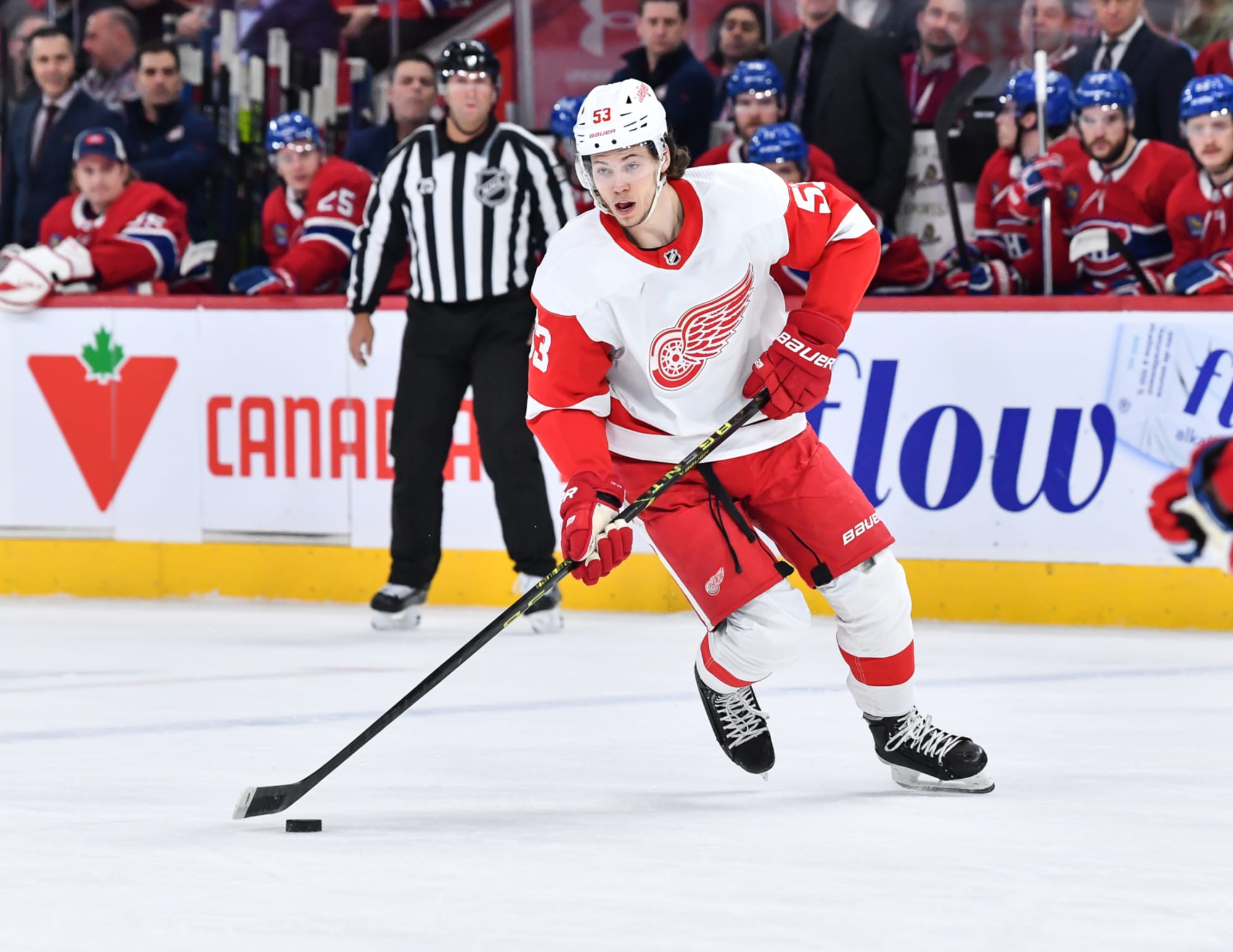Detroit Red Wings: Prospect Lucas Raymond makes opening night roster