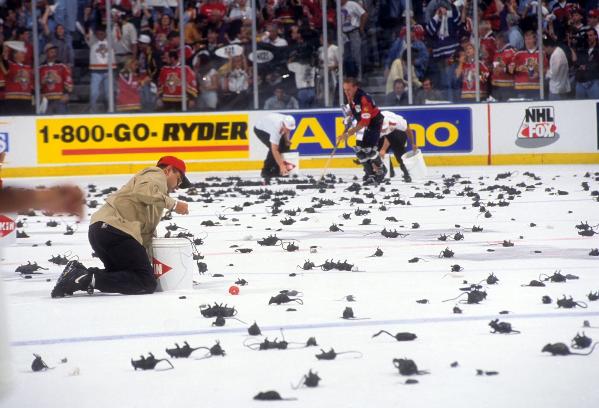 Why do Florida Panthers fans throw rats on the ice?