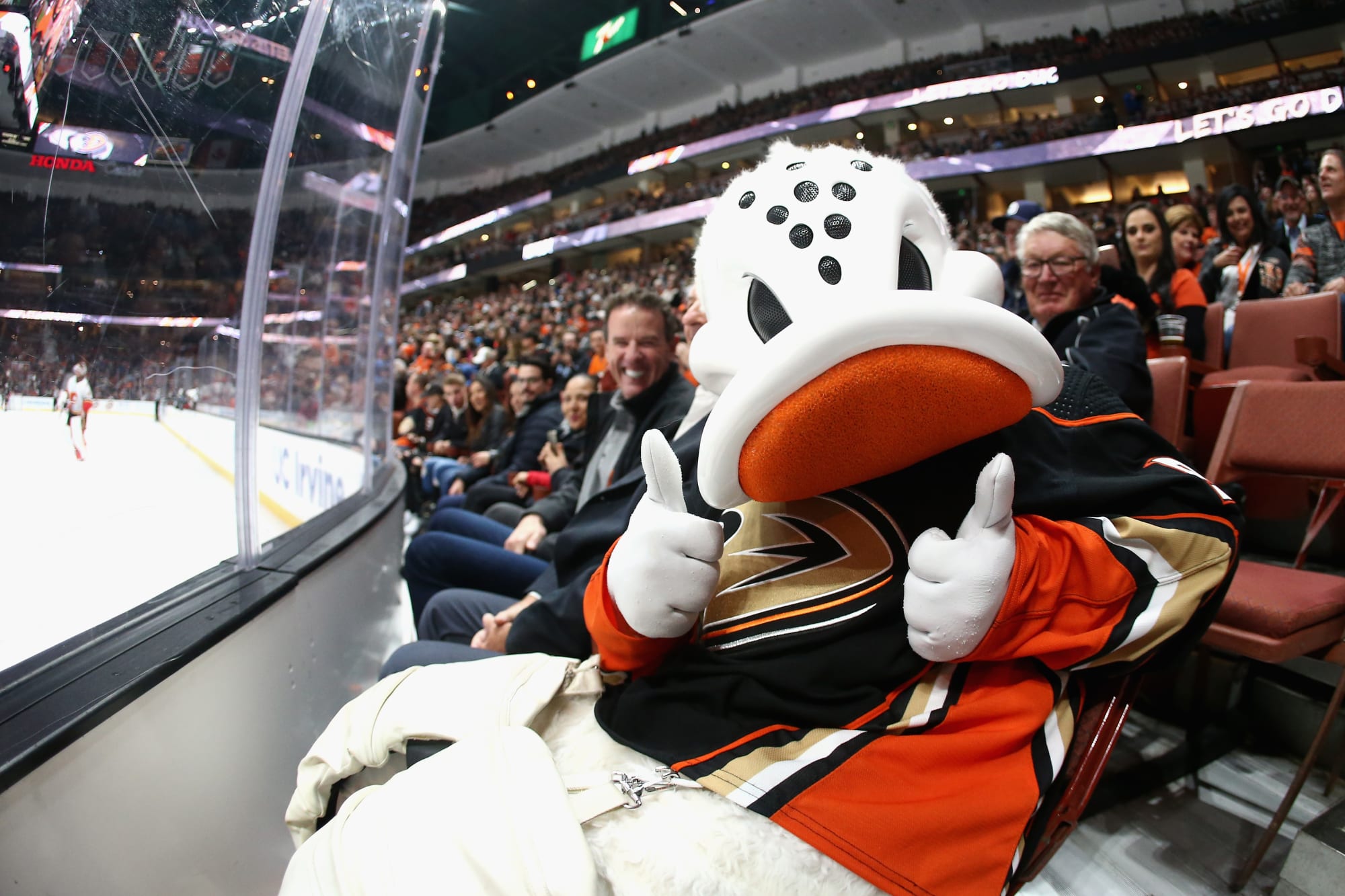 Anaheim Ducks - Don't forget folks that our Ducks Team Store at Honda  Center is open 10 a.m. - 4 p.m. every day and closed on Sunday. Masks and  social distancing will