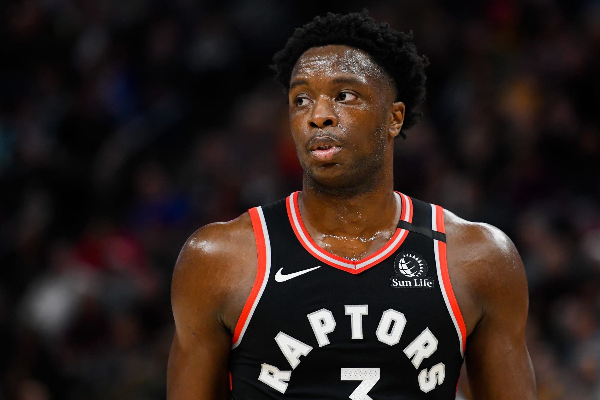 Toronto Raptors 3 Potential Most Improved Player Candidates For Next Year