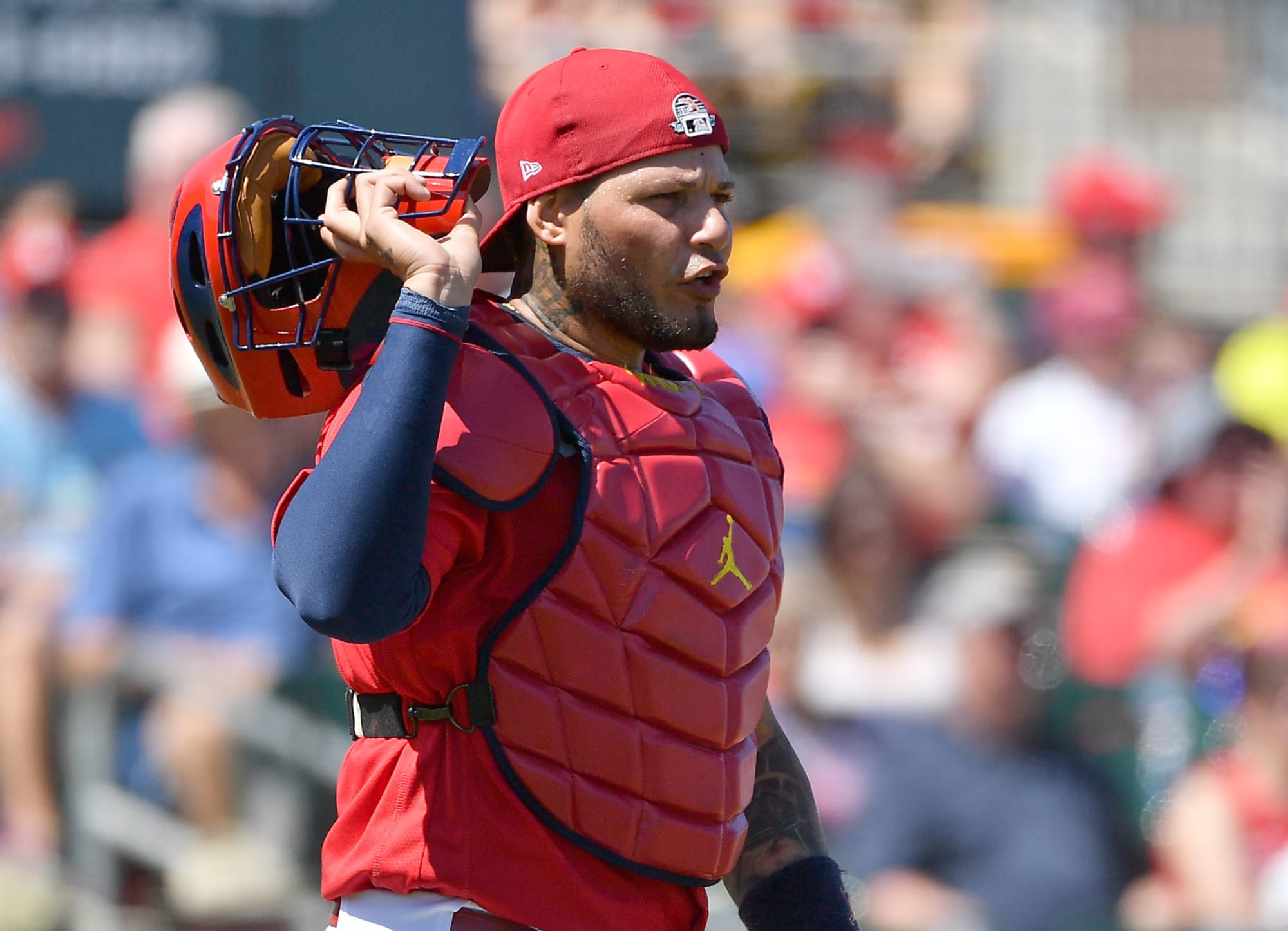 St. Louis Cardinals: Yadier Molina in a 