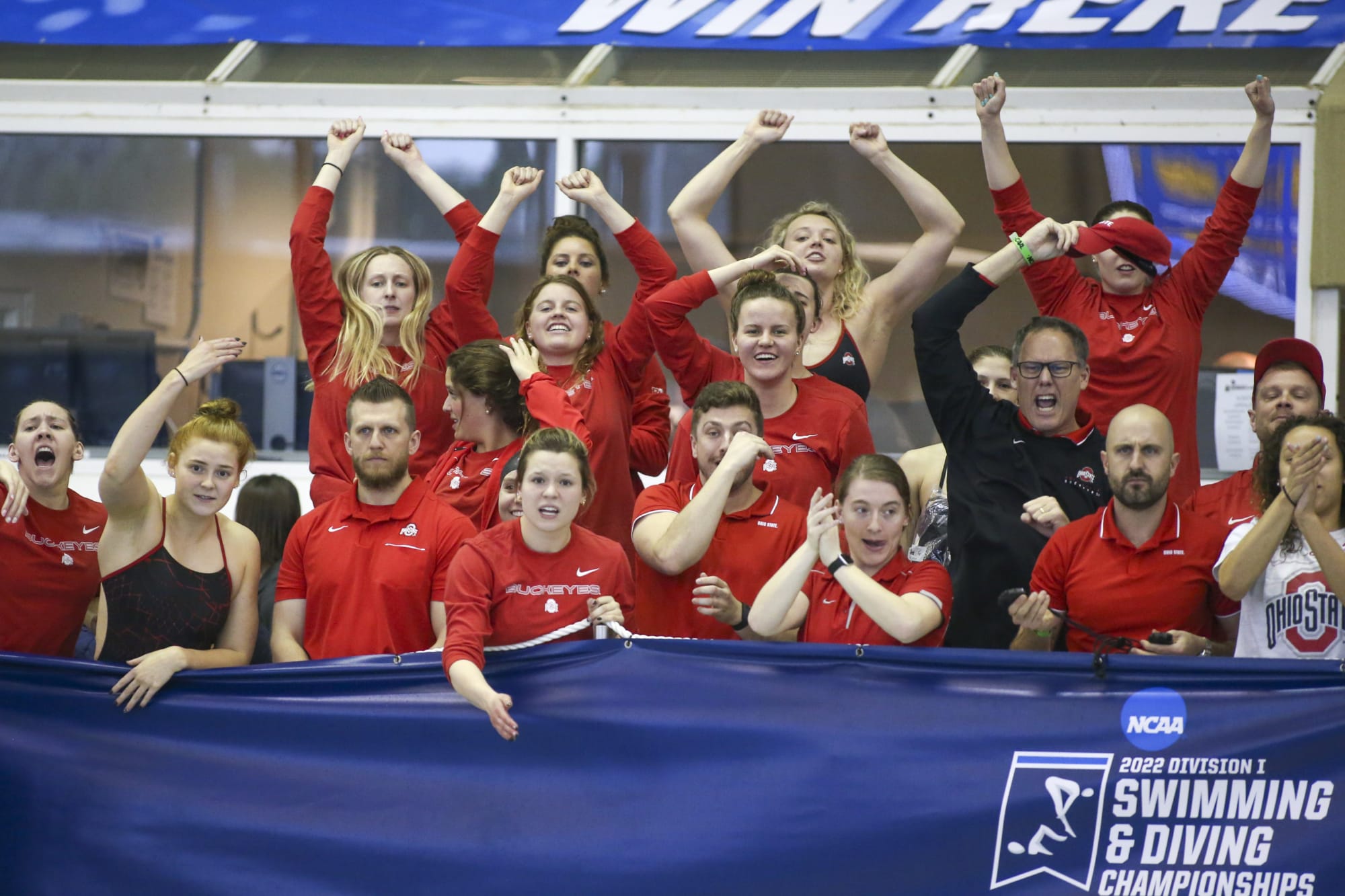 Ohio State synchronized swimming is most dominant team ever