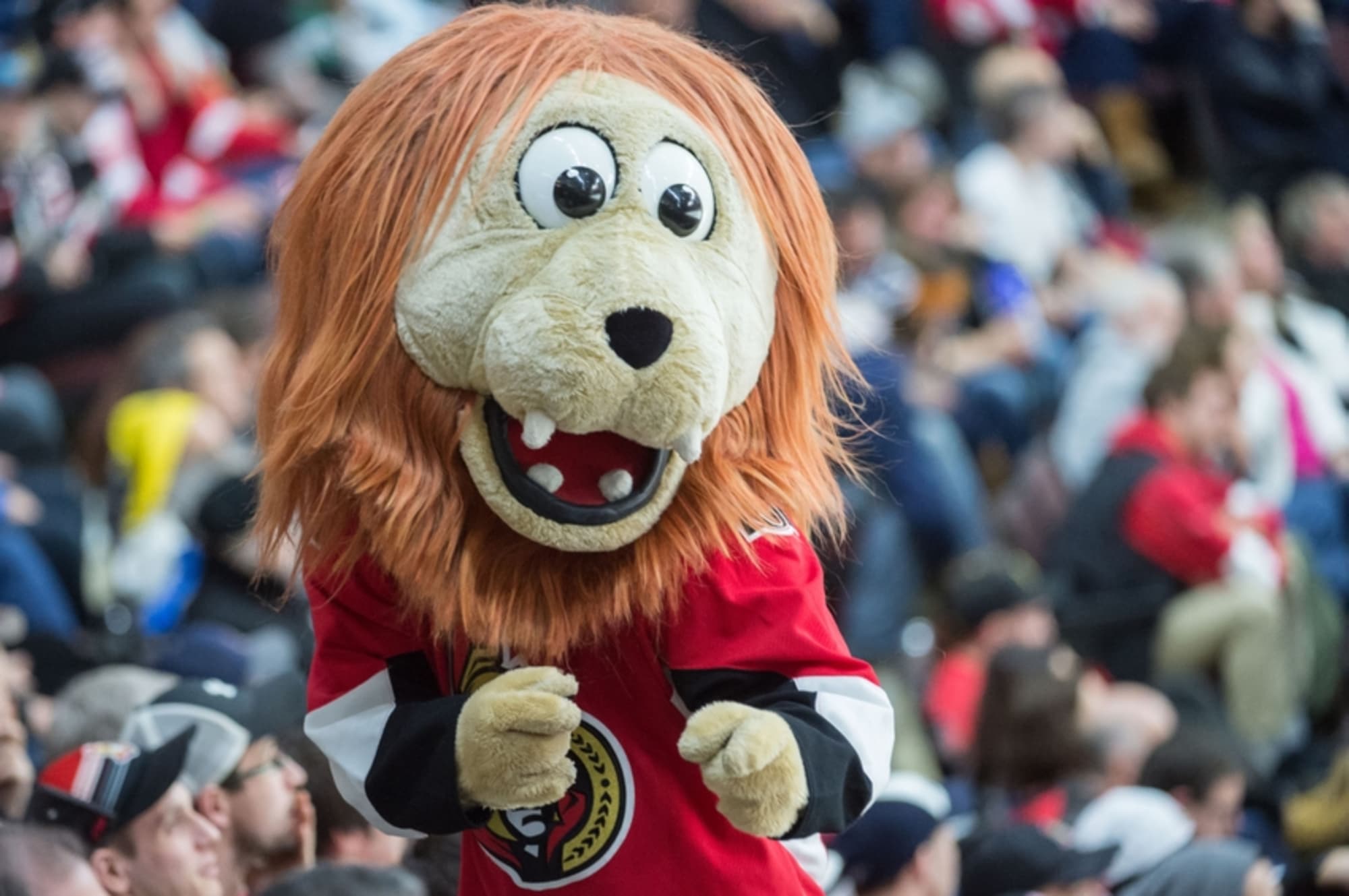 Ottawa Senators Successfully Utilize Spartacat As Mascot