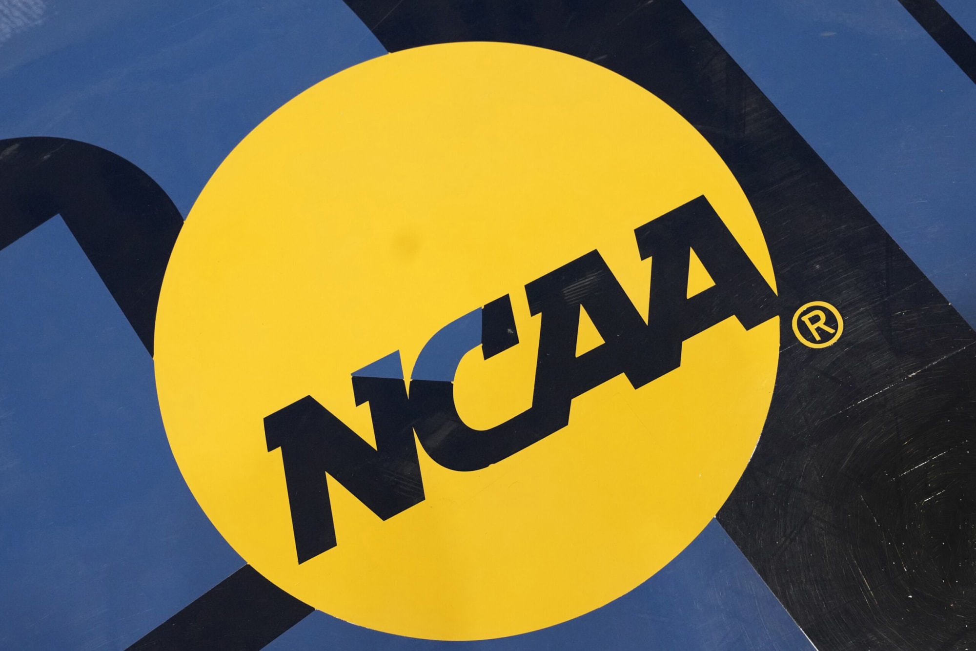 SEC Dominates NCAA Division 1 Volleyball Tournament with Eight Selections