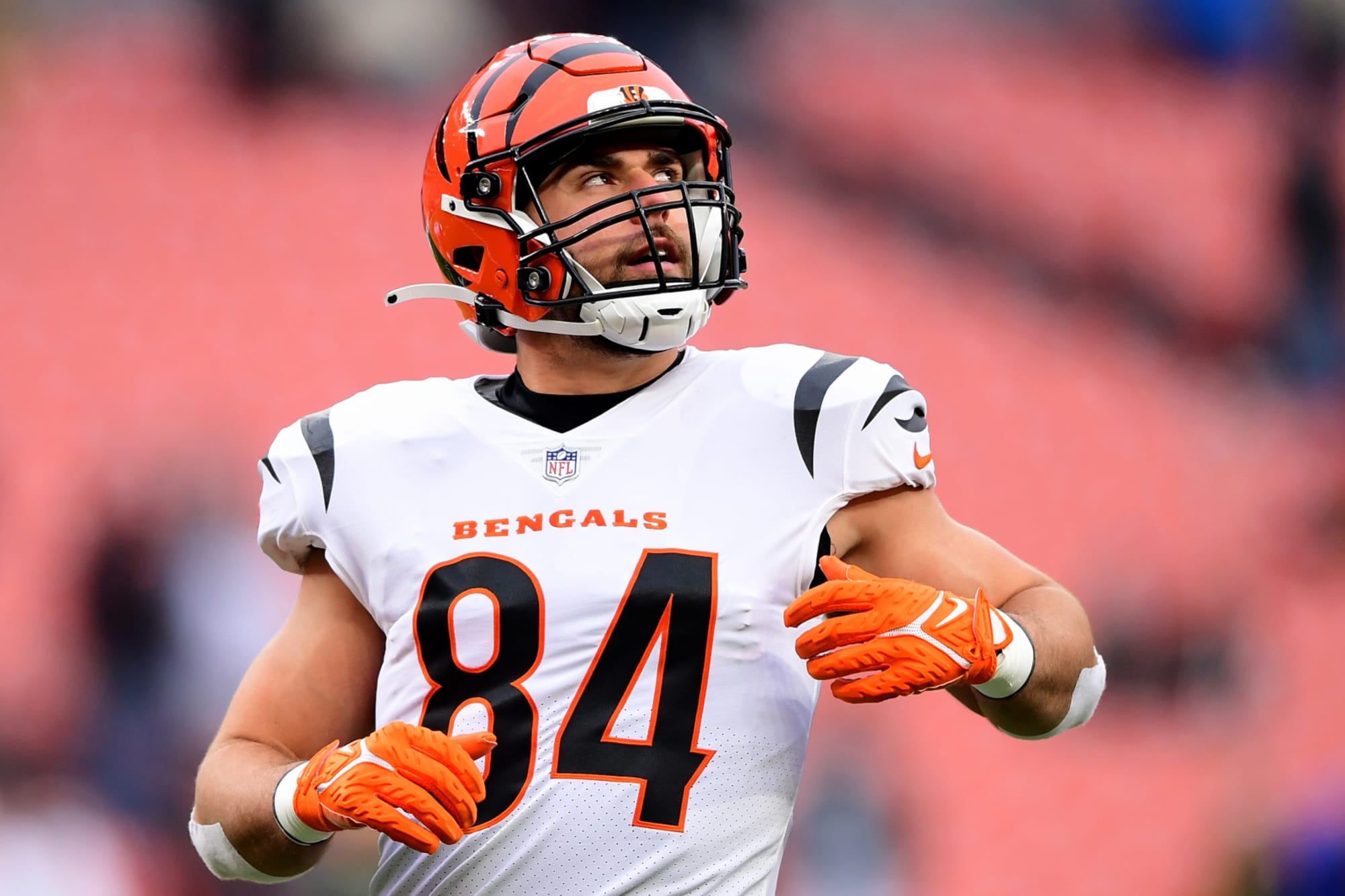 Bengals’ Mitchell Wilcox should easily win a TE roster spot in 2022 - Stripe Hype