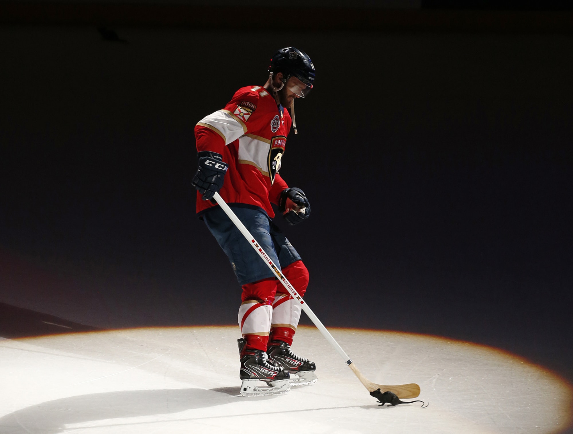 Florida Panthers: Jonathan Huberdeau Should be the Cats All-Star