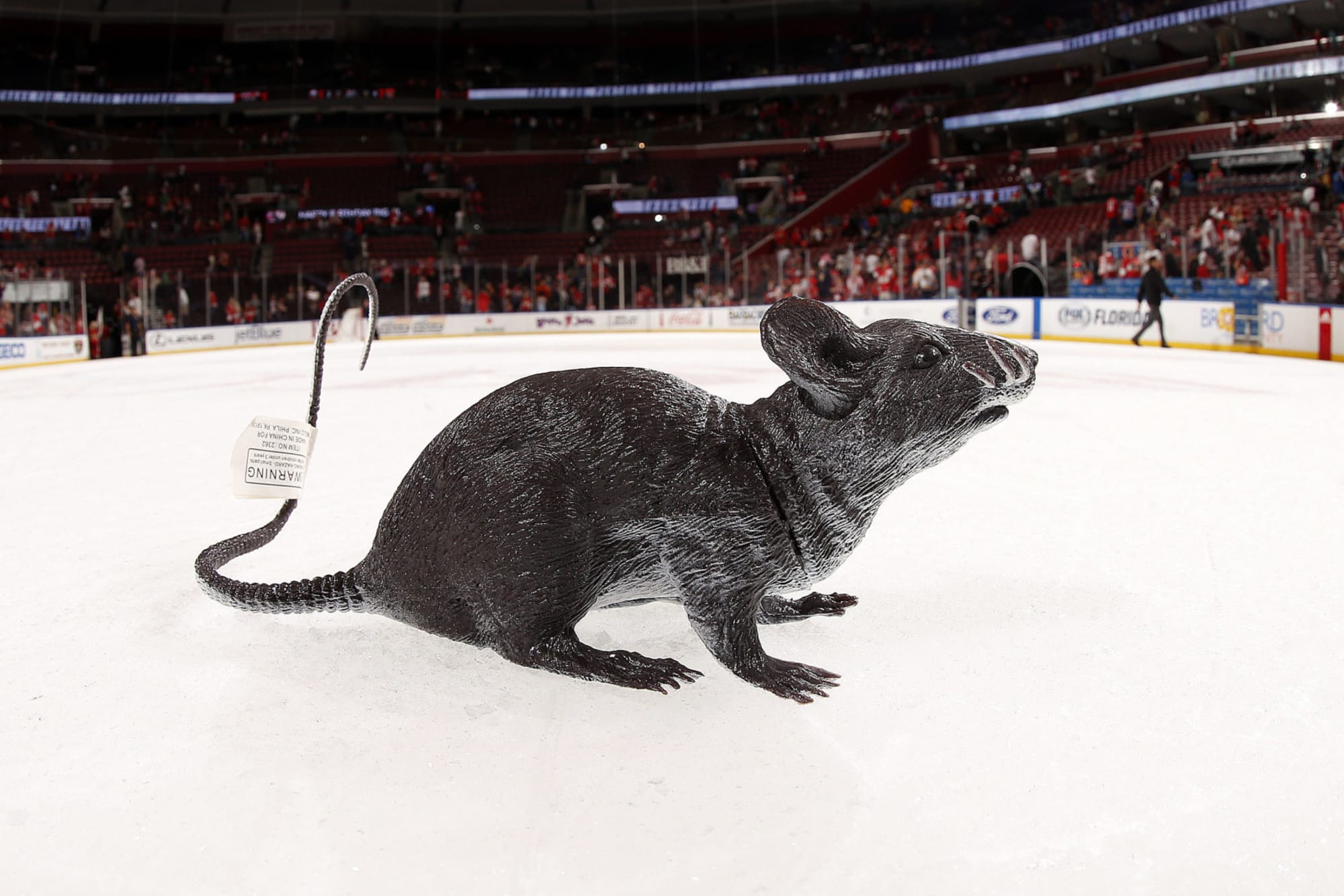 How Plastic Rats Became Forever Linked to the Florida Panthers