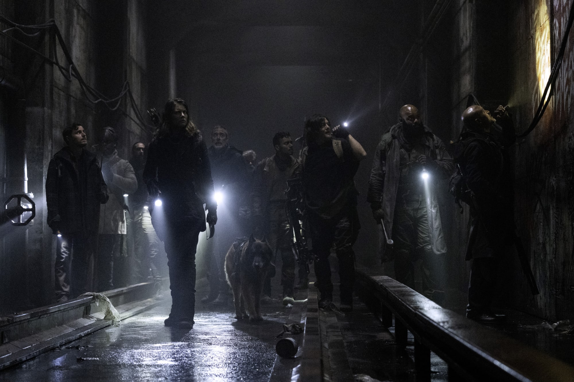 The Walking Dead': Ian Anthony Dale & Laurie Fortier Join Final Season –  Deadline