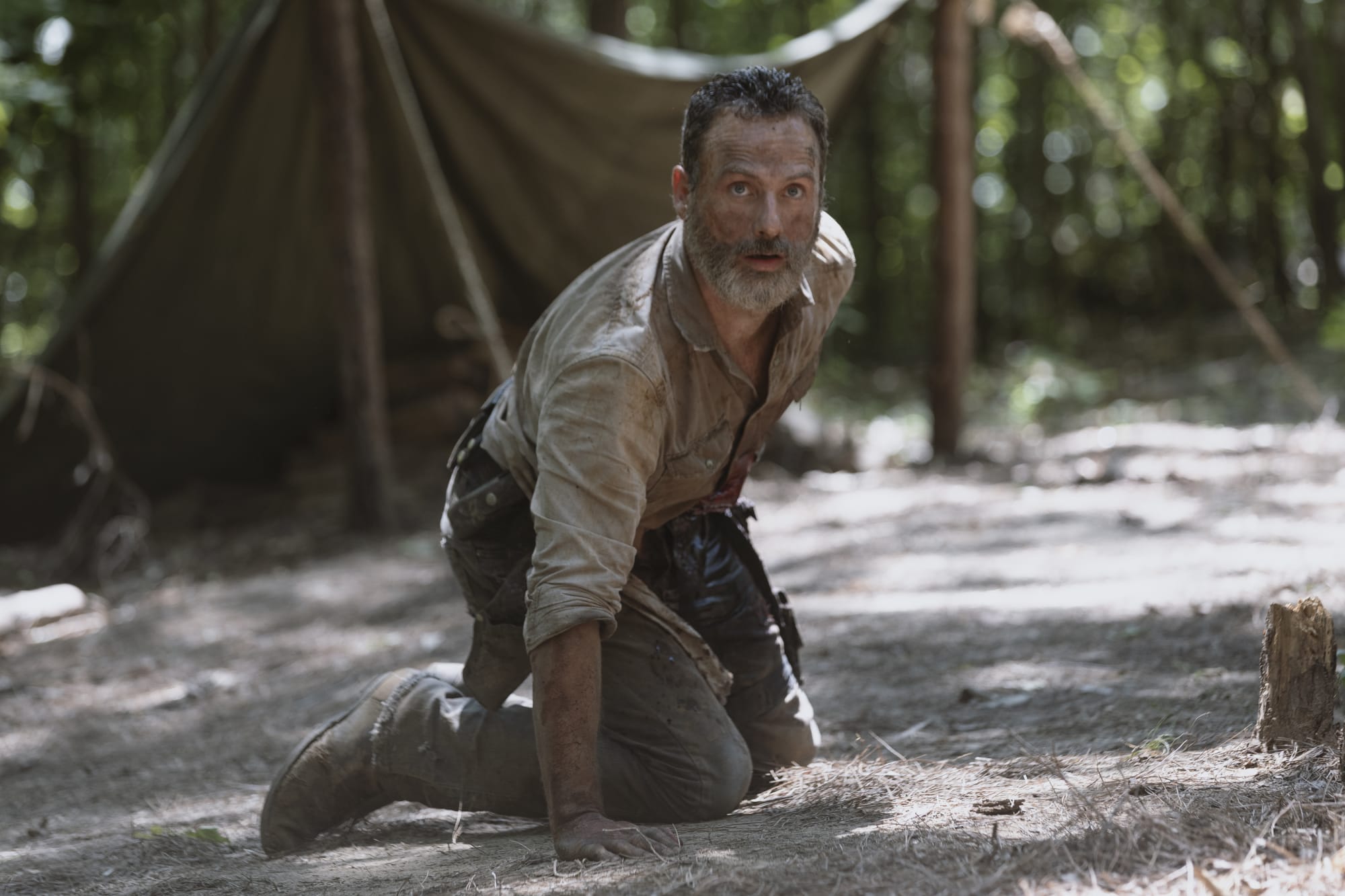 No, we won’t see Young Rick Grimes in Tales of The Walking Dead