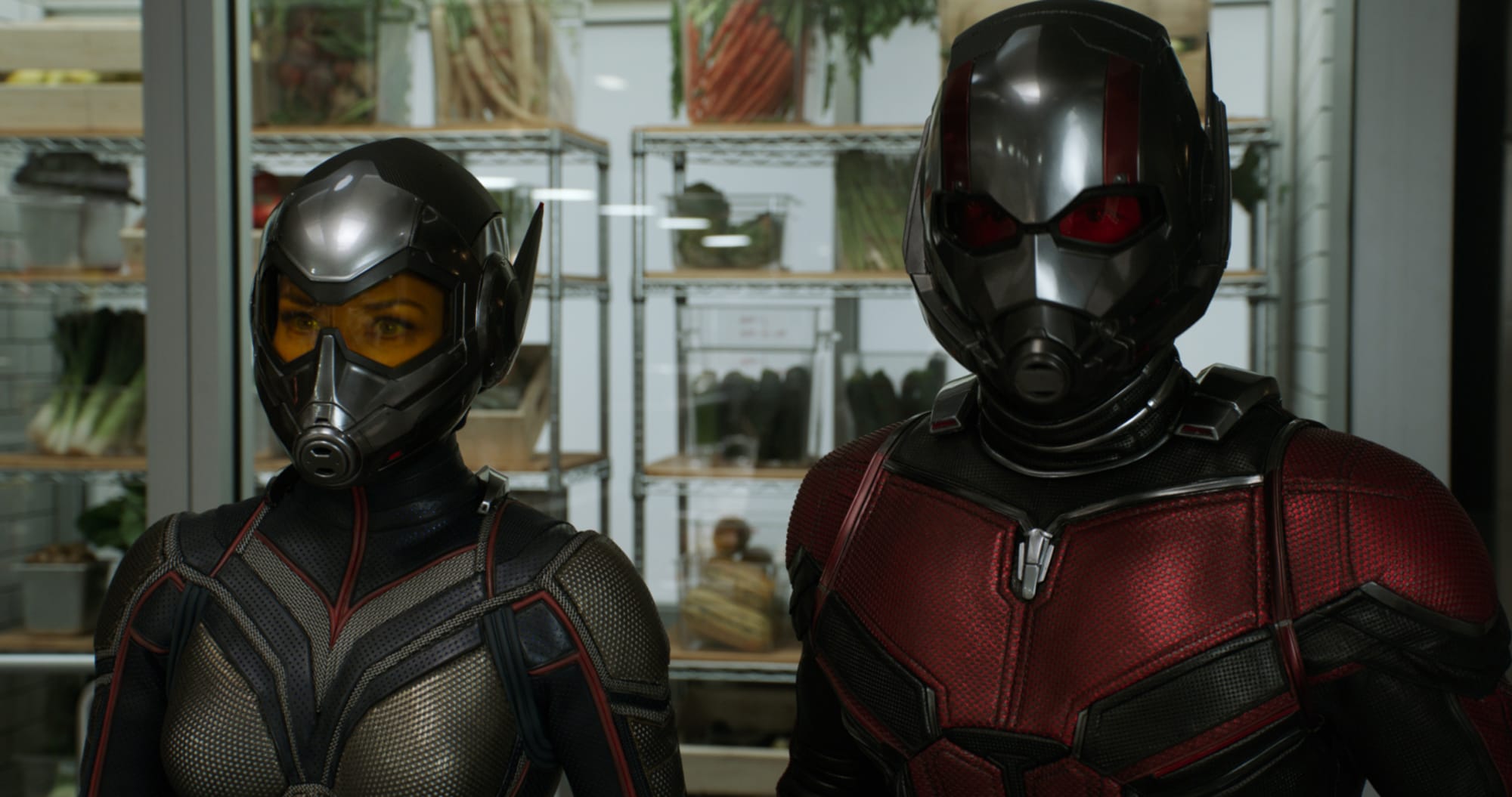 MCU Facility on Twitter in 2023  Antman and the wasp, Ant-man, Wasp